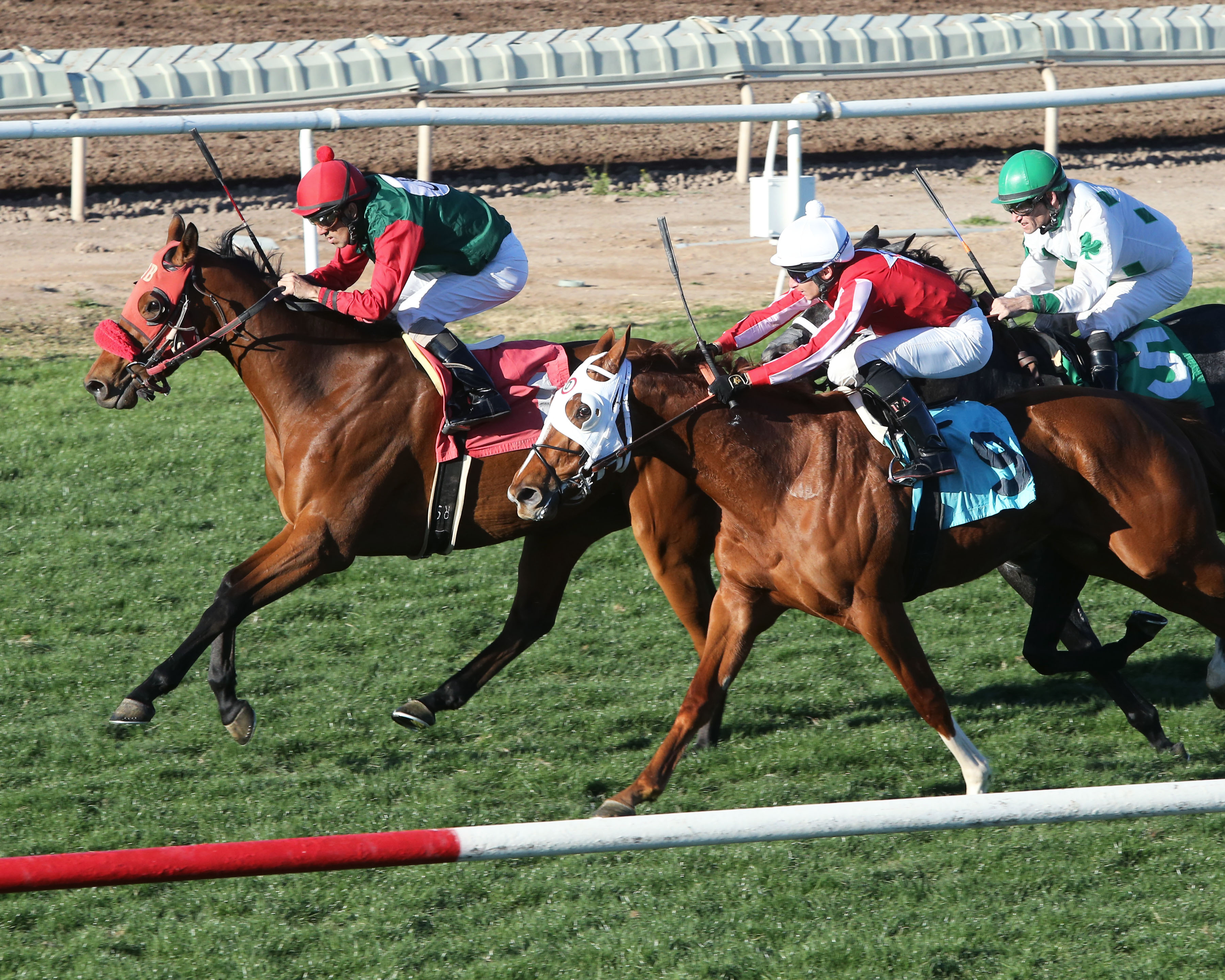 Senor Friday (No. 9) wins the 2019 Startac Stakes