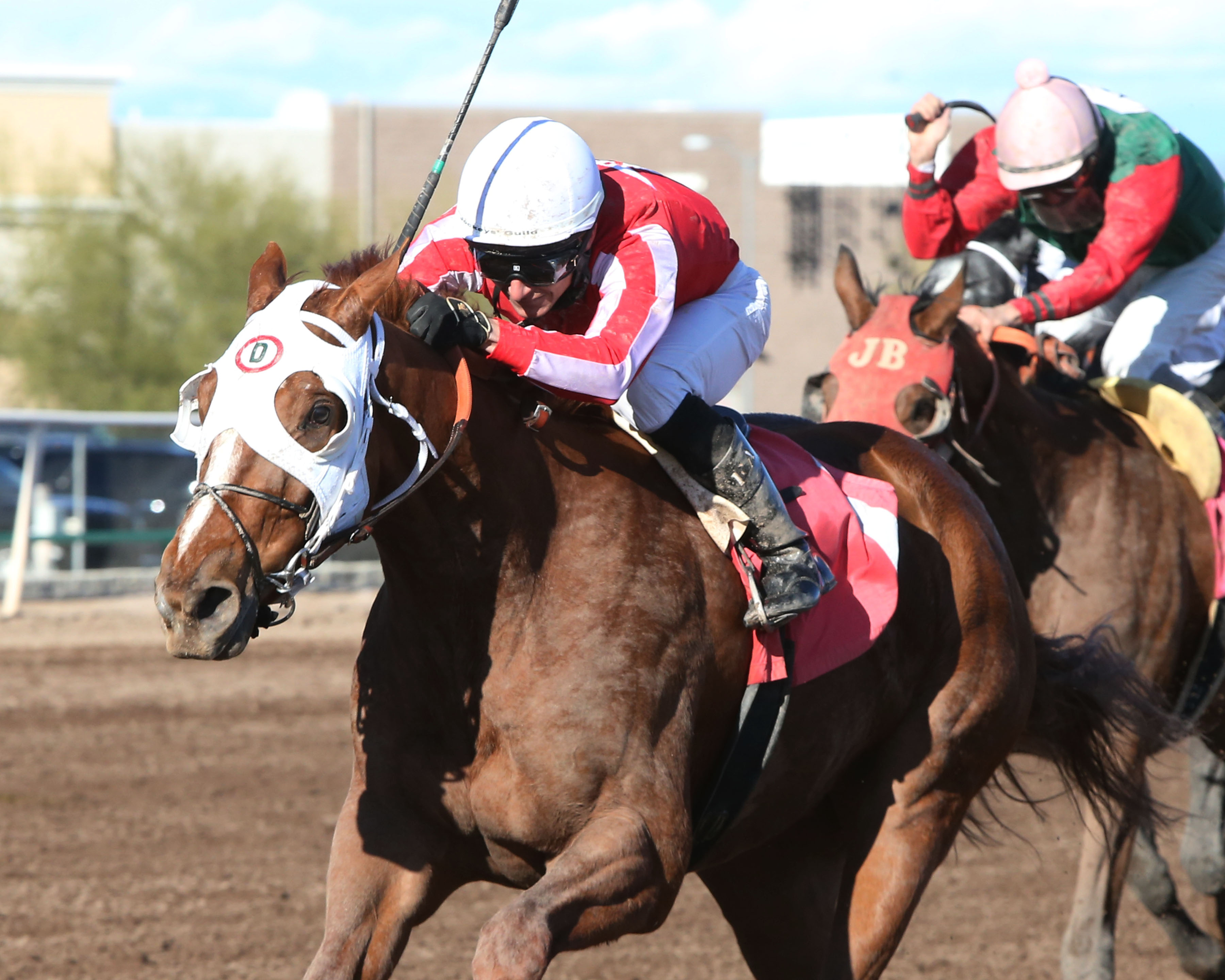 Senor Friday wins 2019 Turf Paradise Derby
