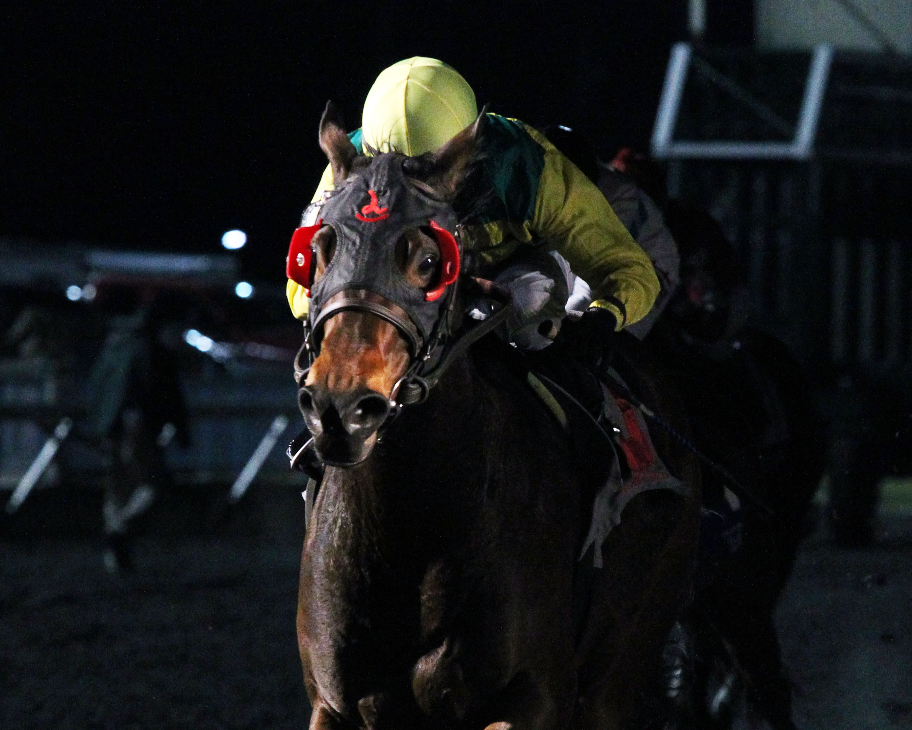 Serene Melody wins 2016 Wintergreen