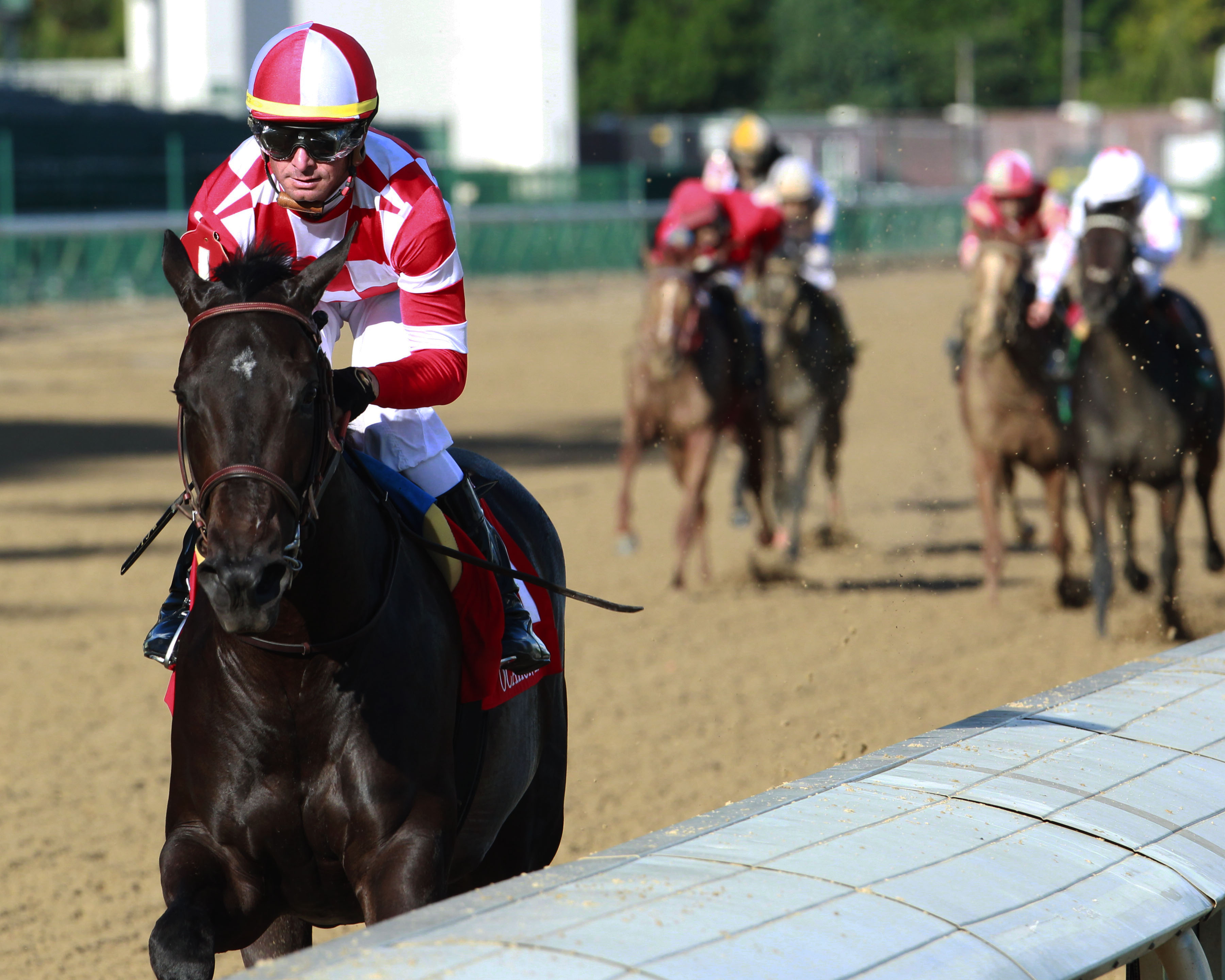 Serengeti Empress wins 2018 Pocahontas