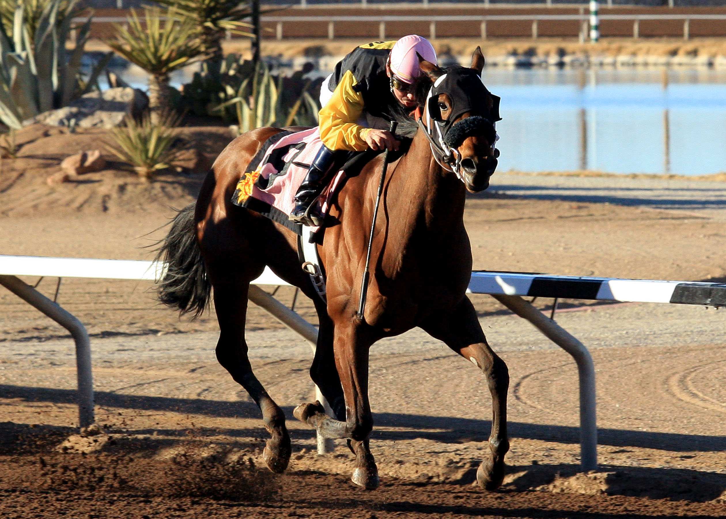 Shamrock Girl 1-15-2011