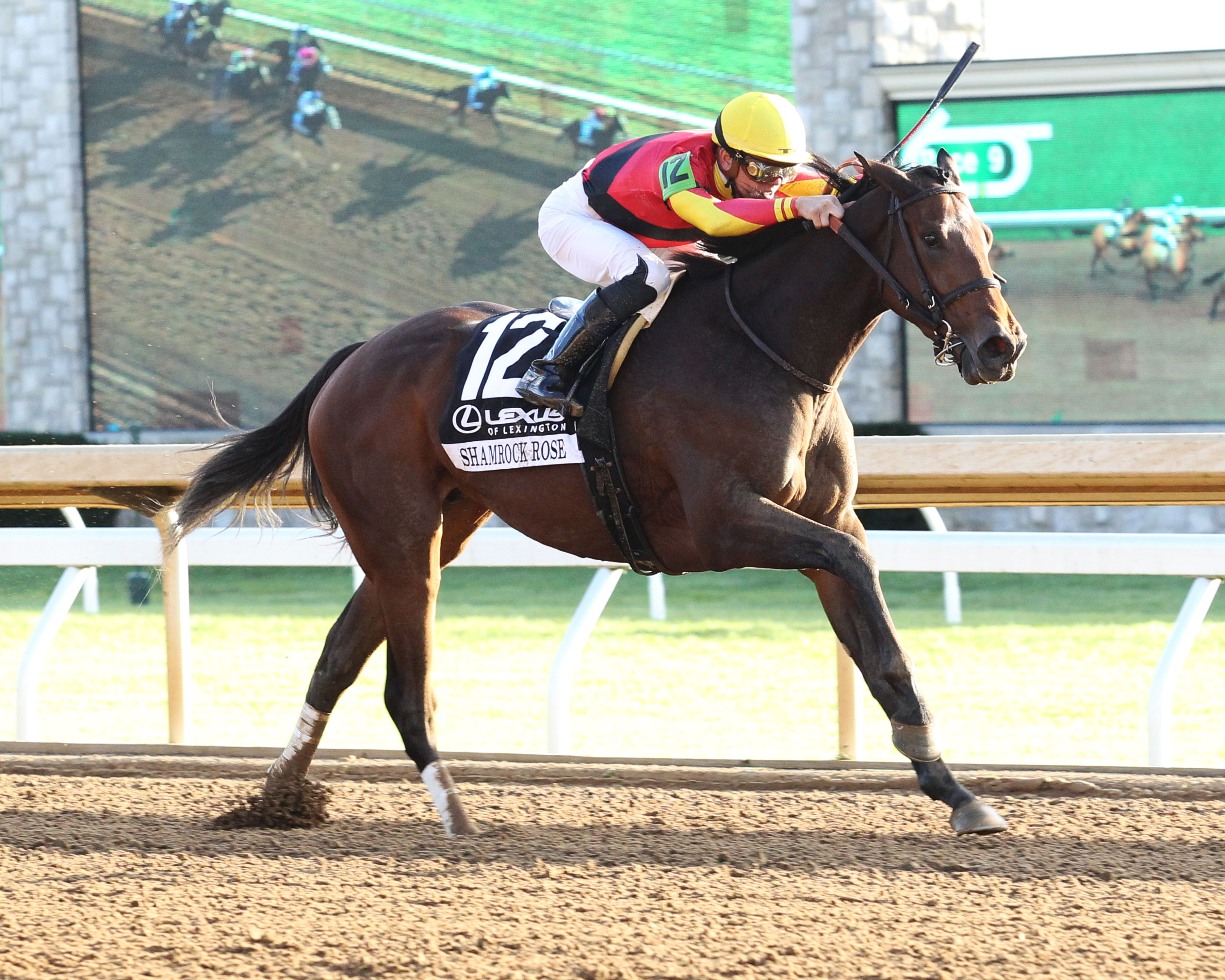 Shamrock Rose wins the 2018 Raven Run Stakes