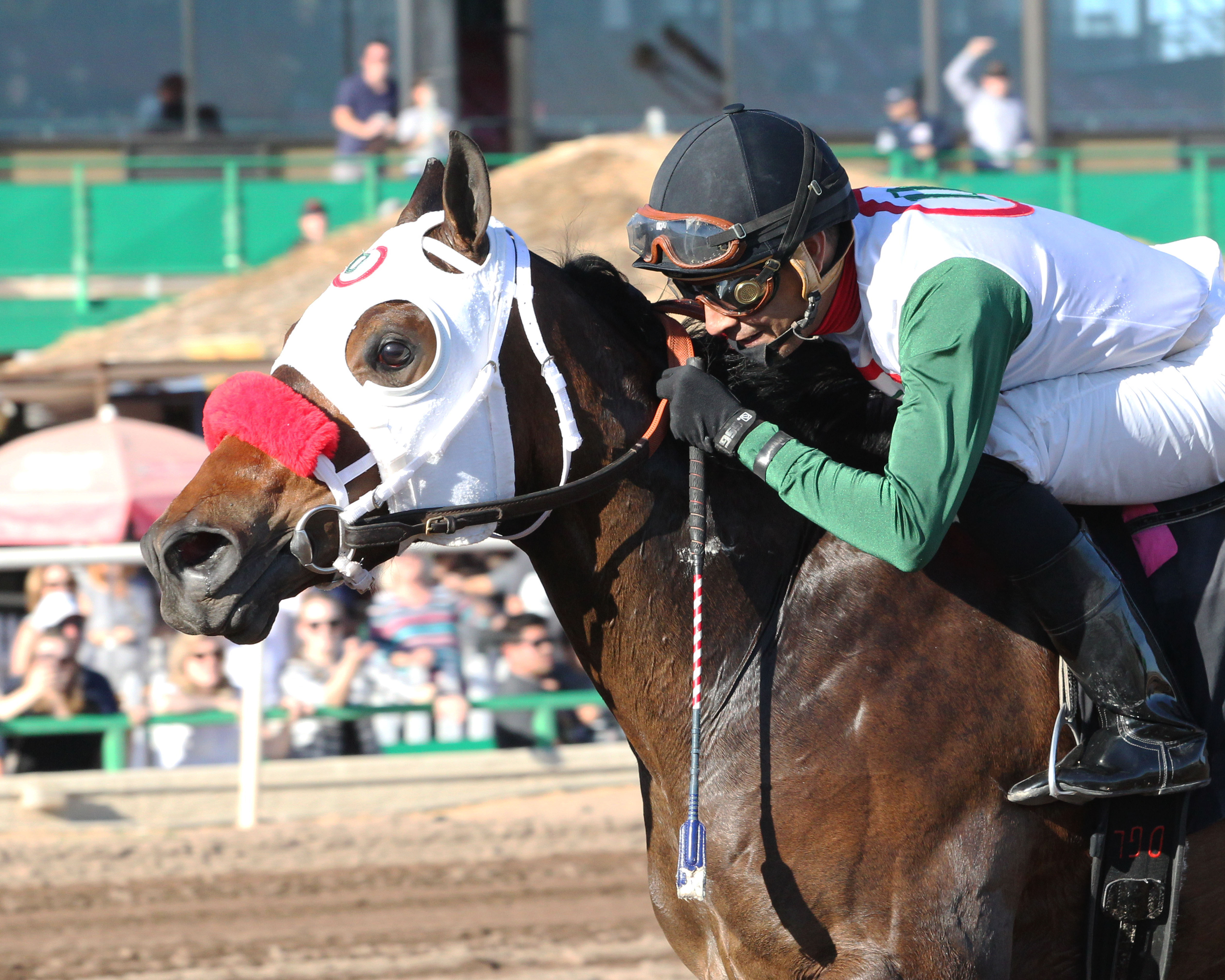 Shane Doan wins the 2017 Lost in the Fog Stakes at Turf Paradise