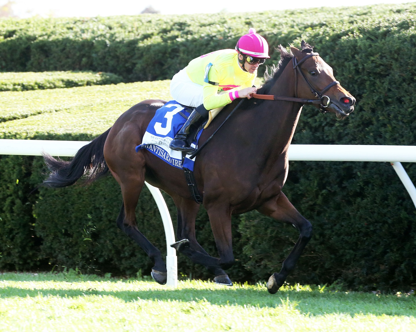 SHANTISARA - The Queen Elizabeth II Challenge Cup - G2 38th Running