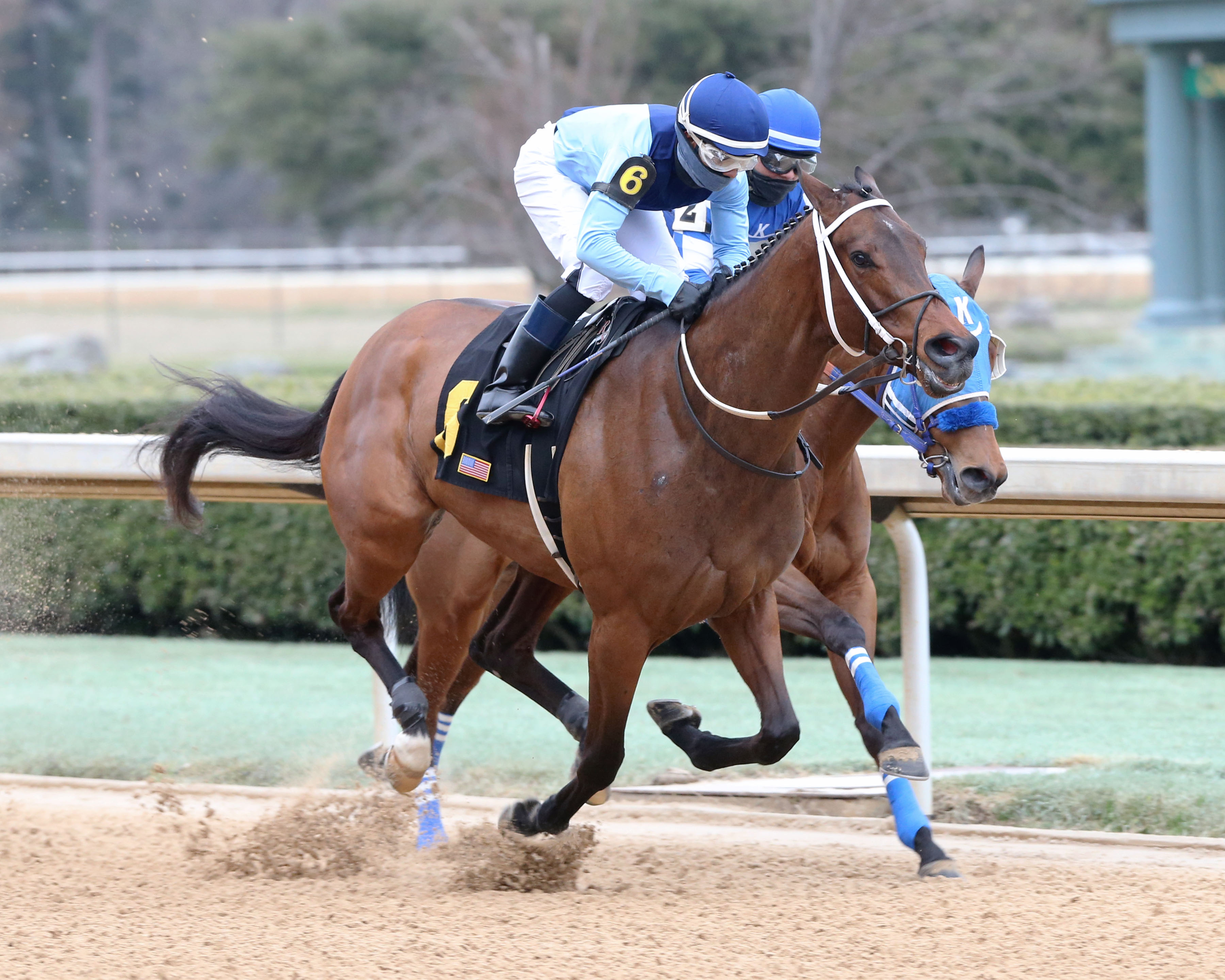 She's a Julie wins 2019 Bayakoa