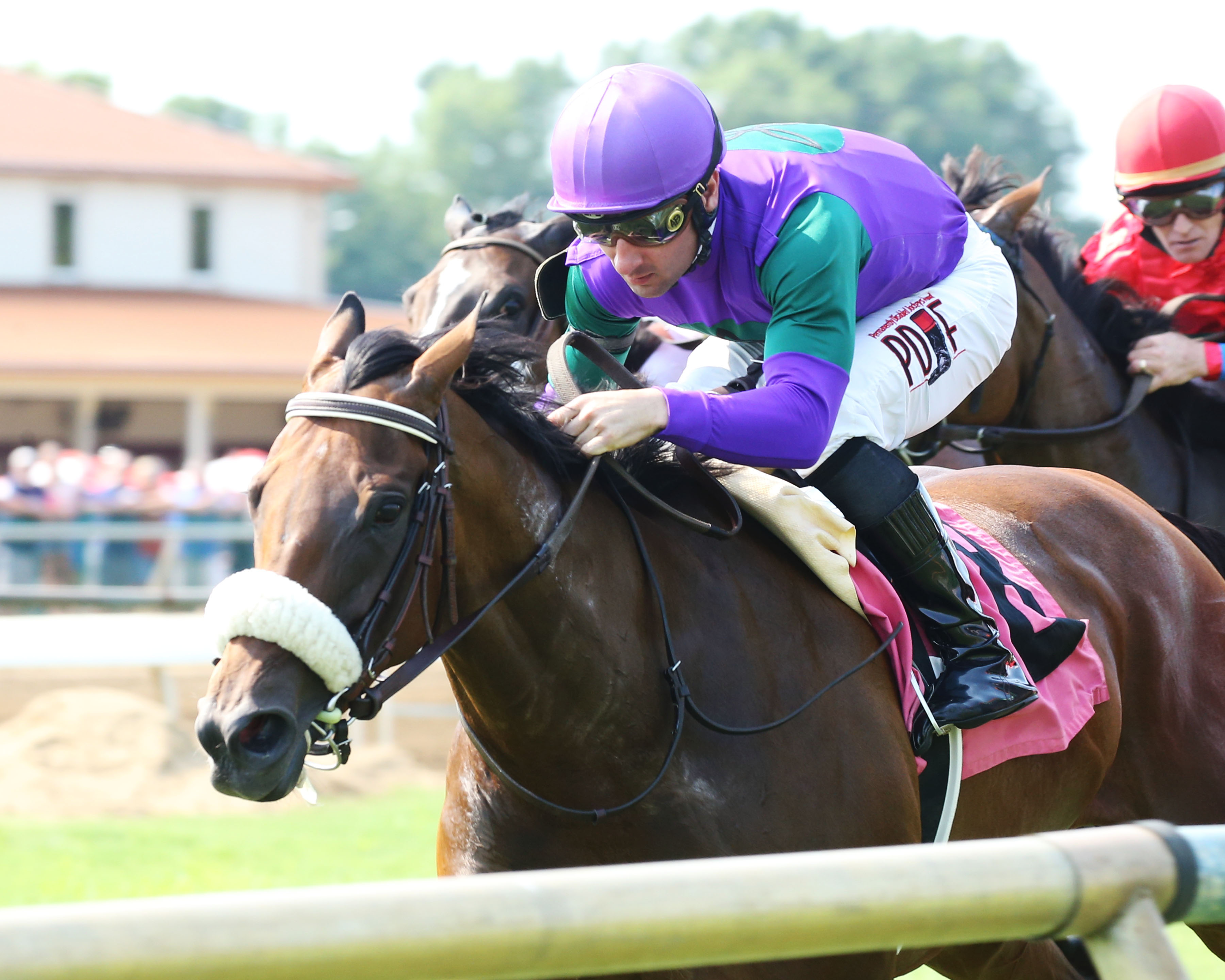 She'sonthewarpath wins Ellis Park Turf 7-4-2021