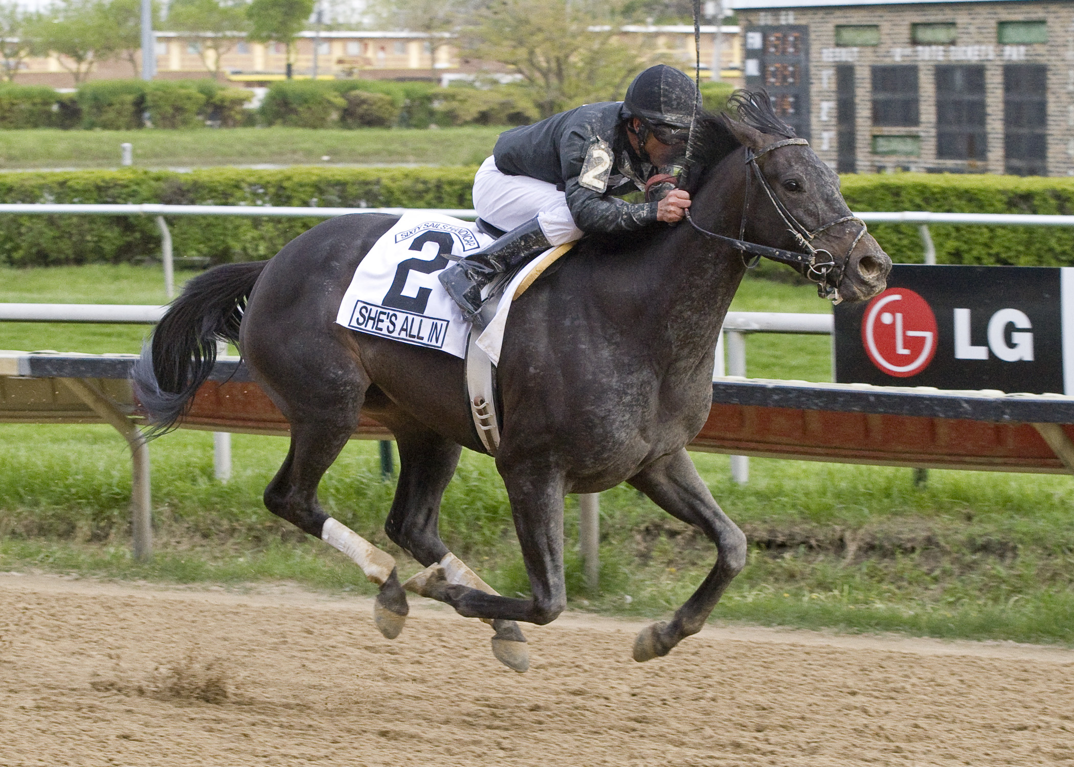 She's All In 4-21-2012