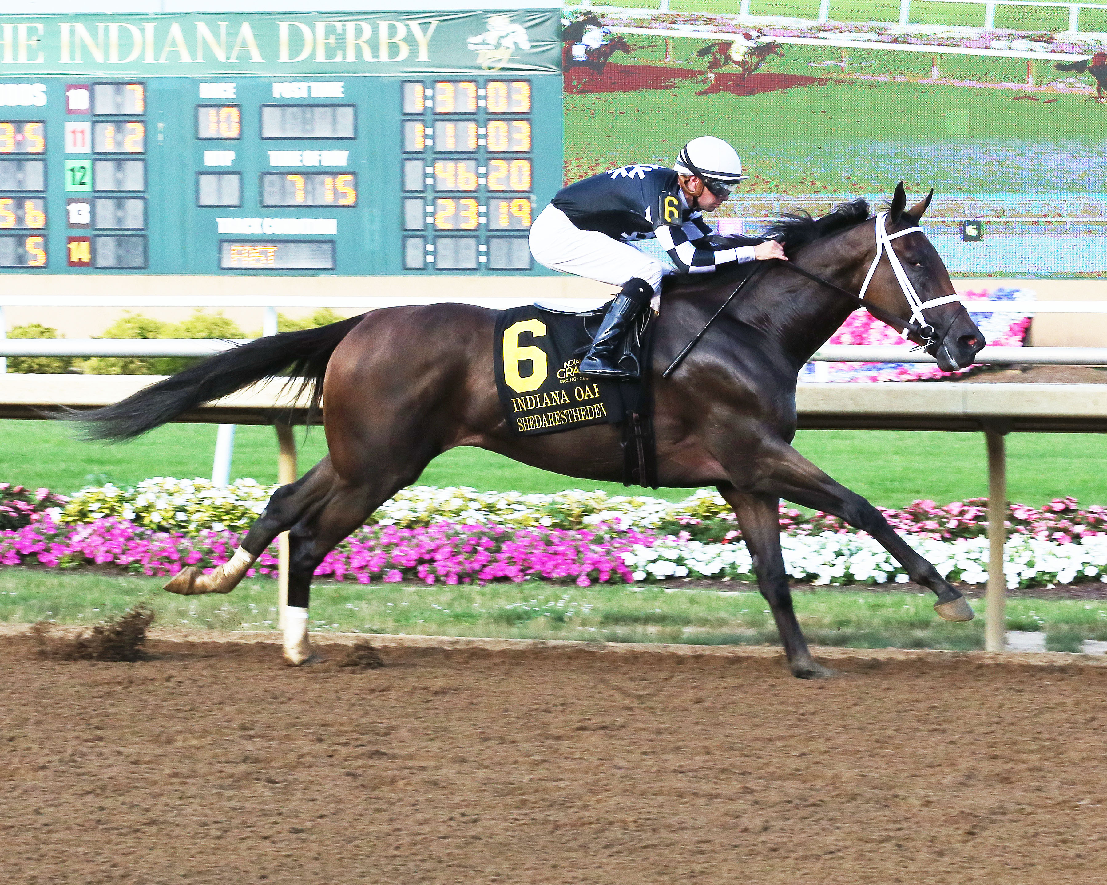 Shedaresthedevil/Indiana Oaks