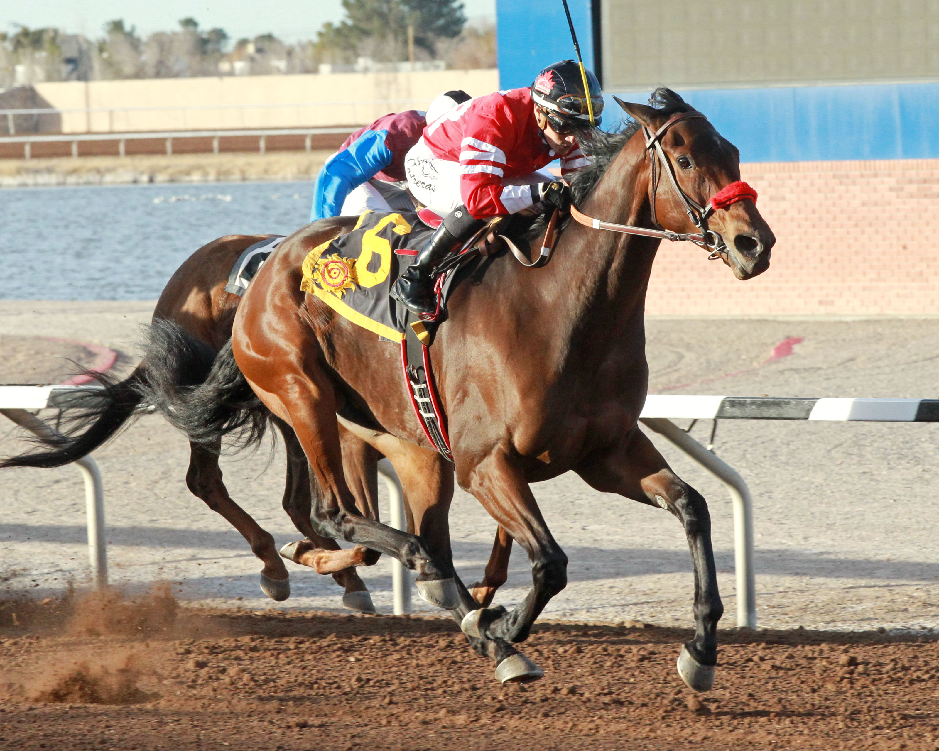 Shining Source wins 2017 Dominguez Memorial Handicap