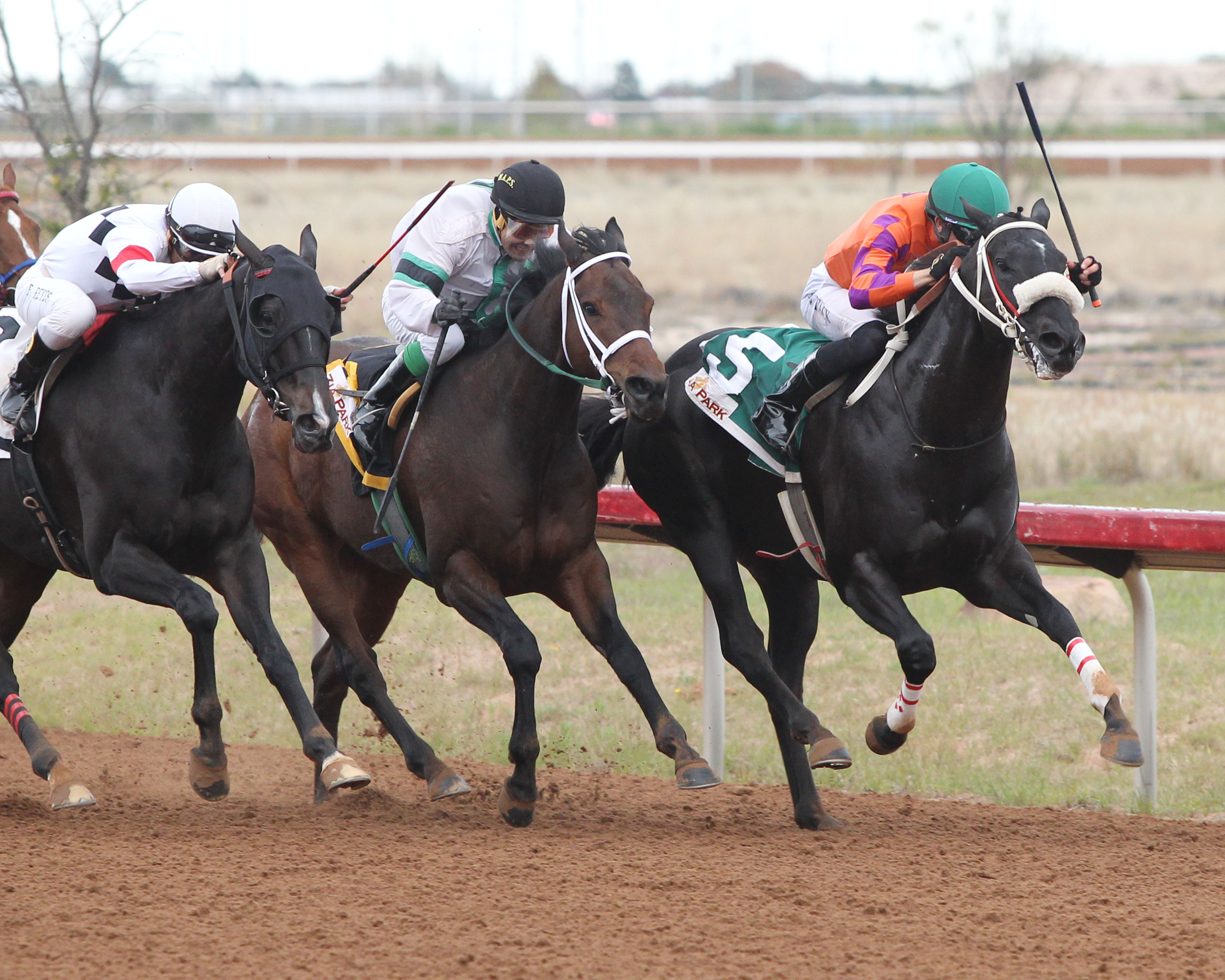 Shred the Rules (No. 5) wins the 2018 Roadrunner Stakes
