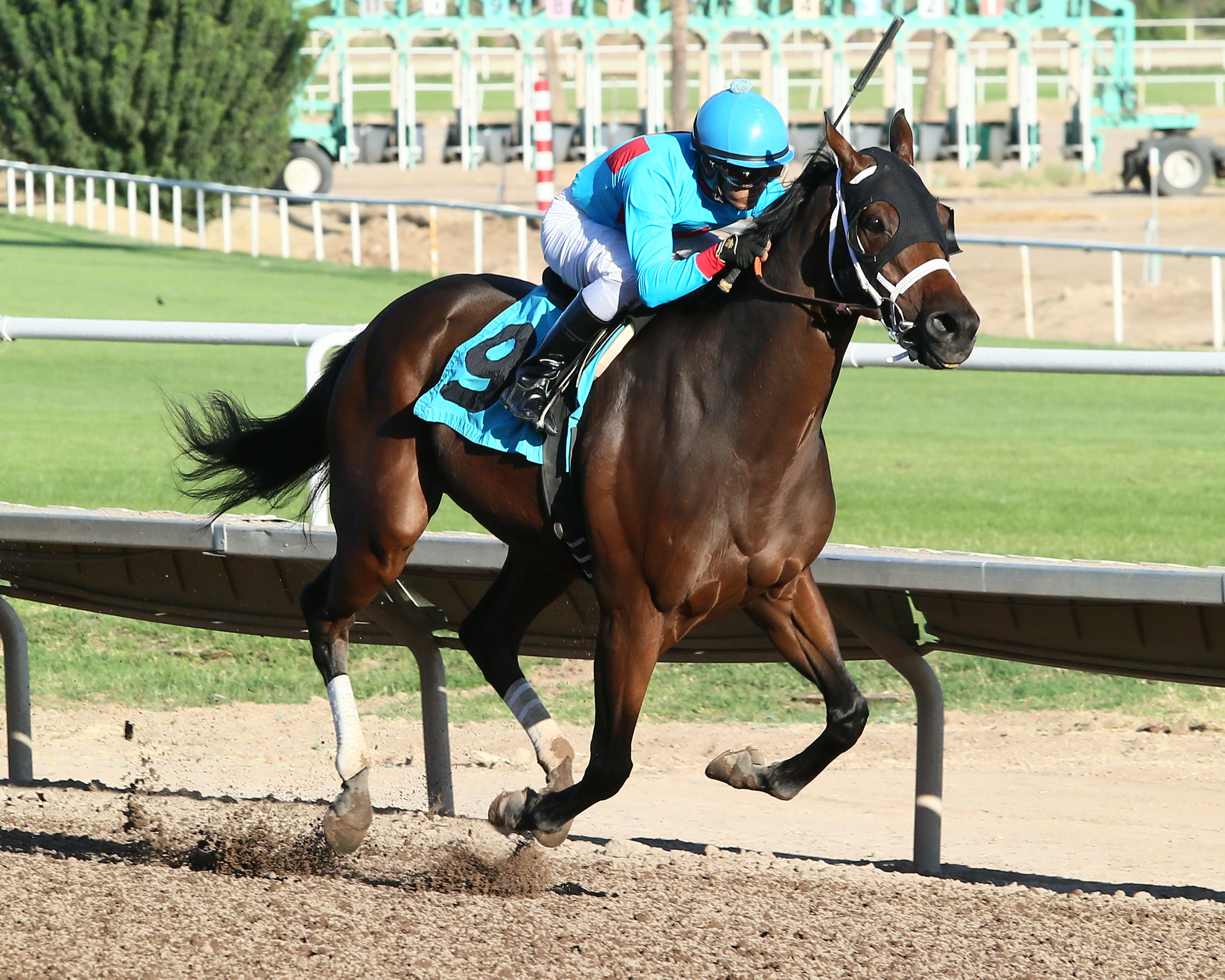 Shrewd Move wins the 2017 Bienvenidos Stakes