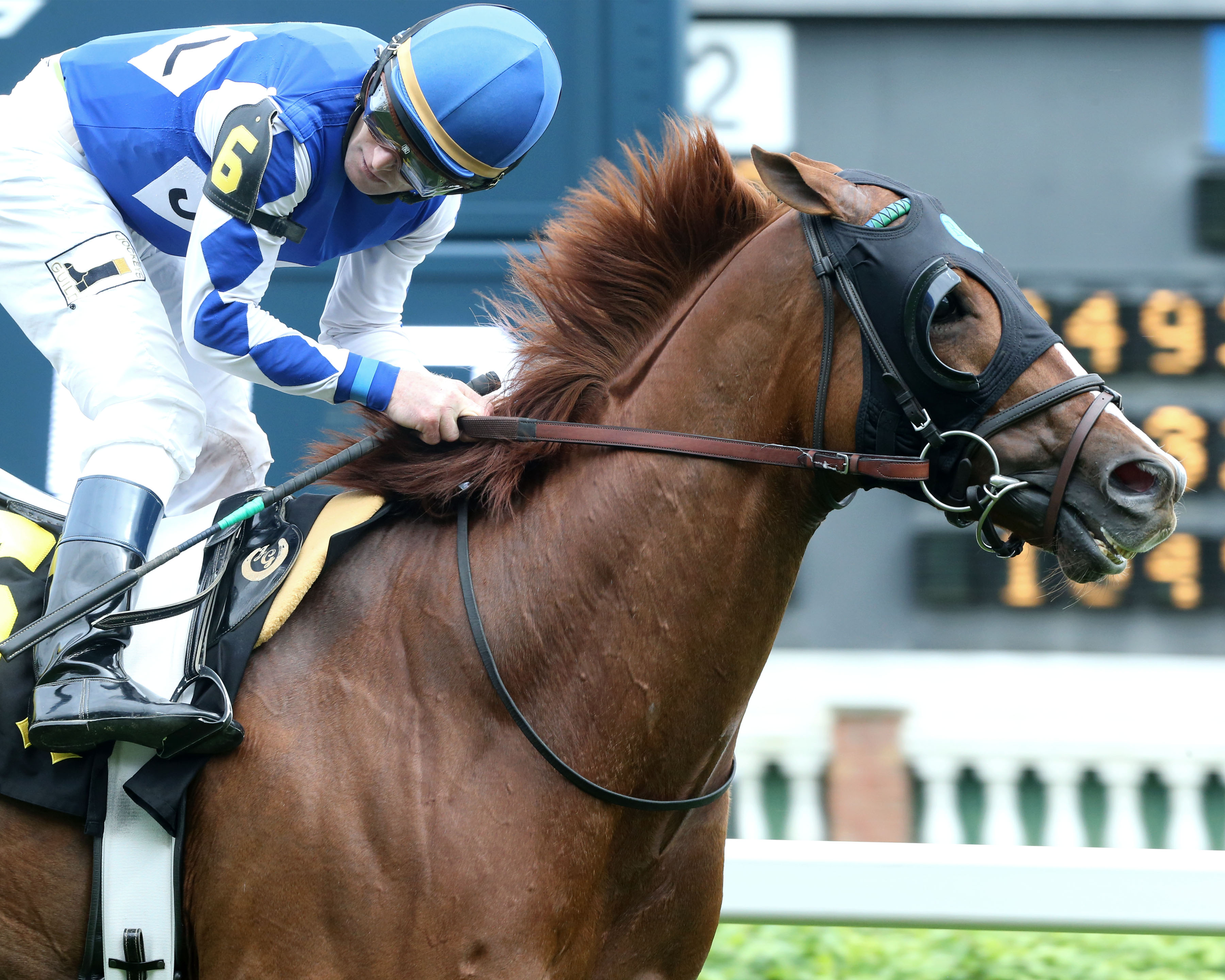 Siem Riep wins the 2019 Opening Verse Stakes