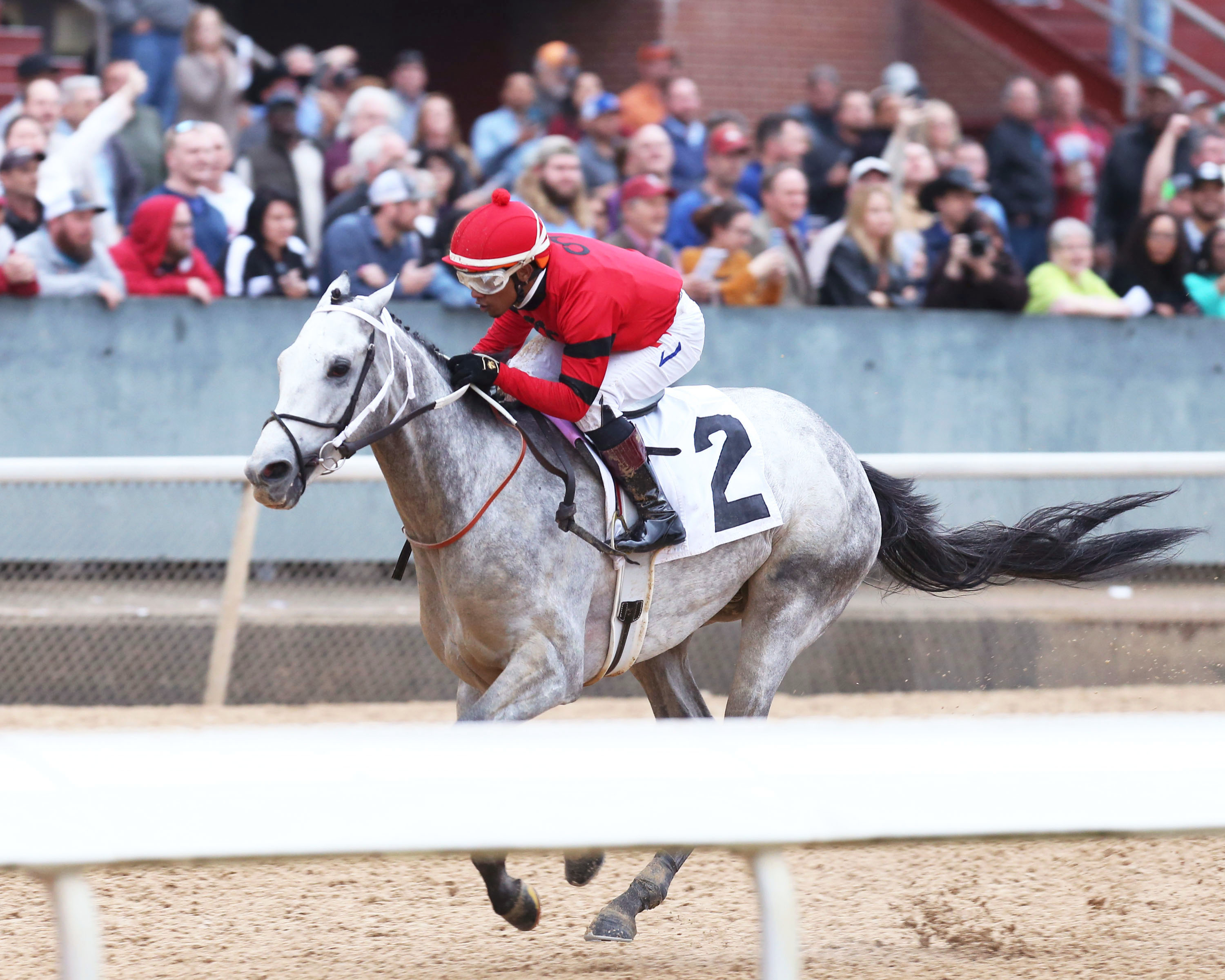 Silver Prospector wins the 2020 Southwest Stakes