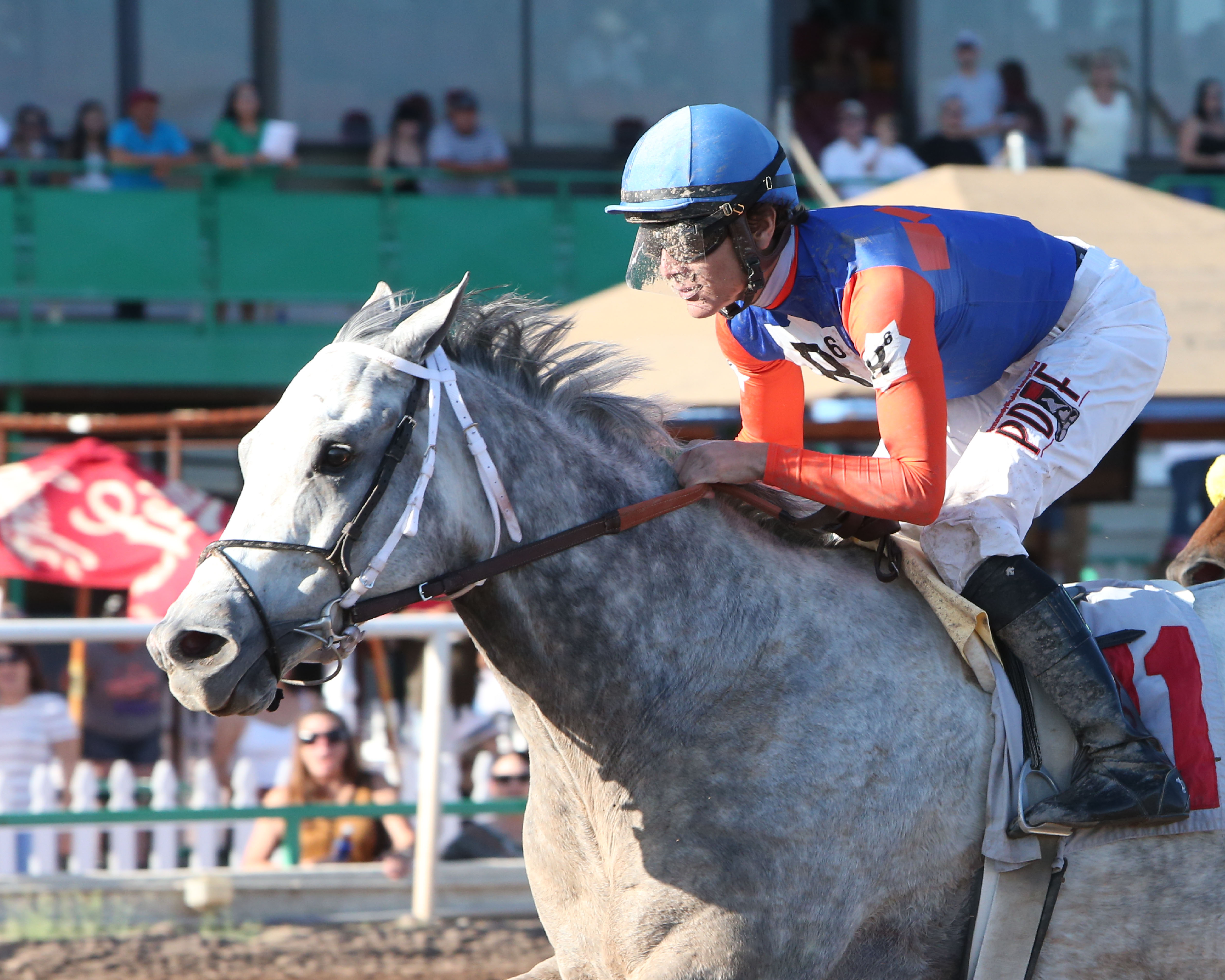 Silver Ride wins the 2019 Bienvenidos Stakes