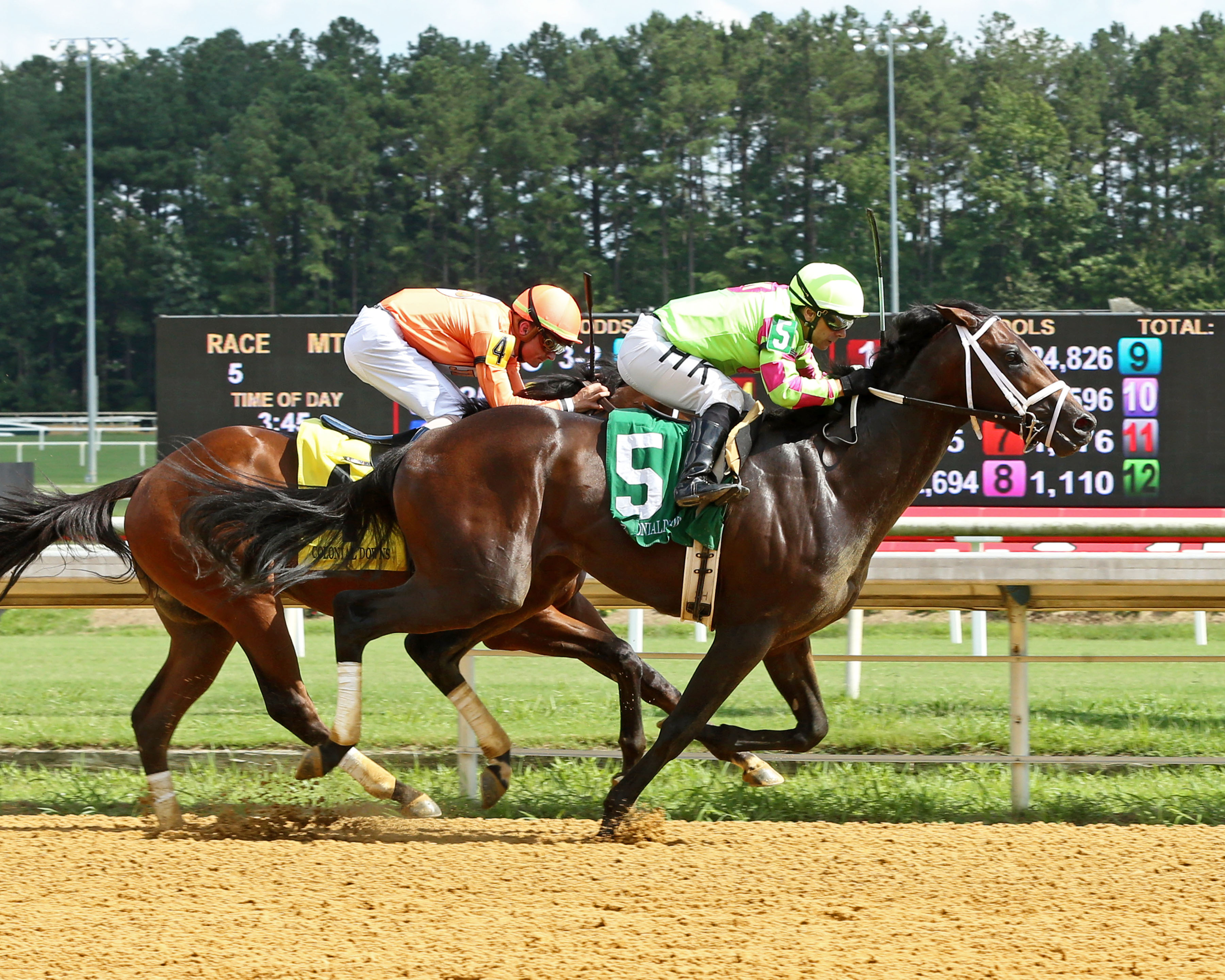 Simply Super/Hickory Tree