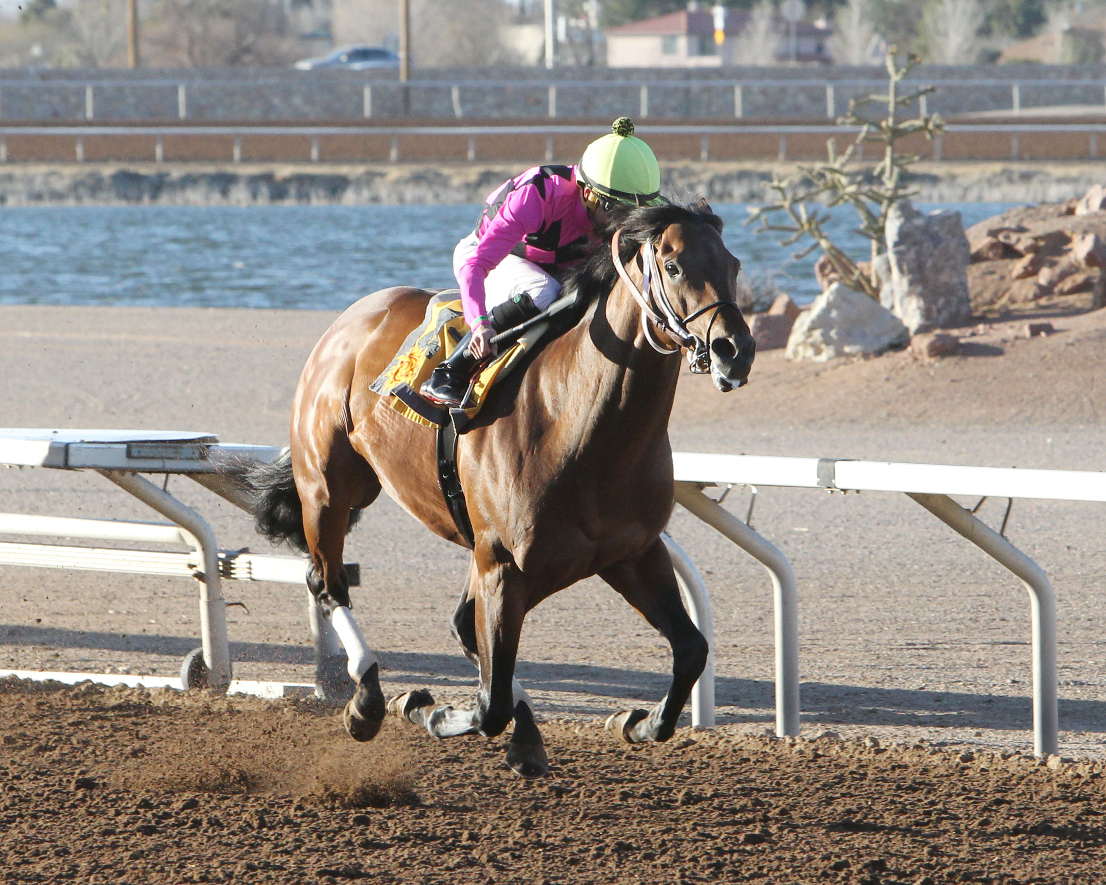 Sir Rick wins the 2020 Mine That Bird Derby