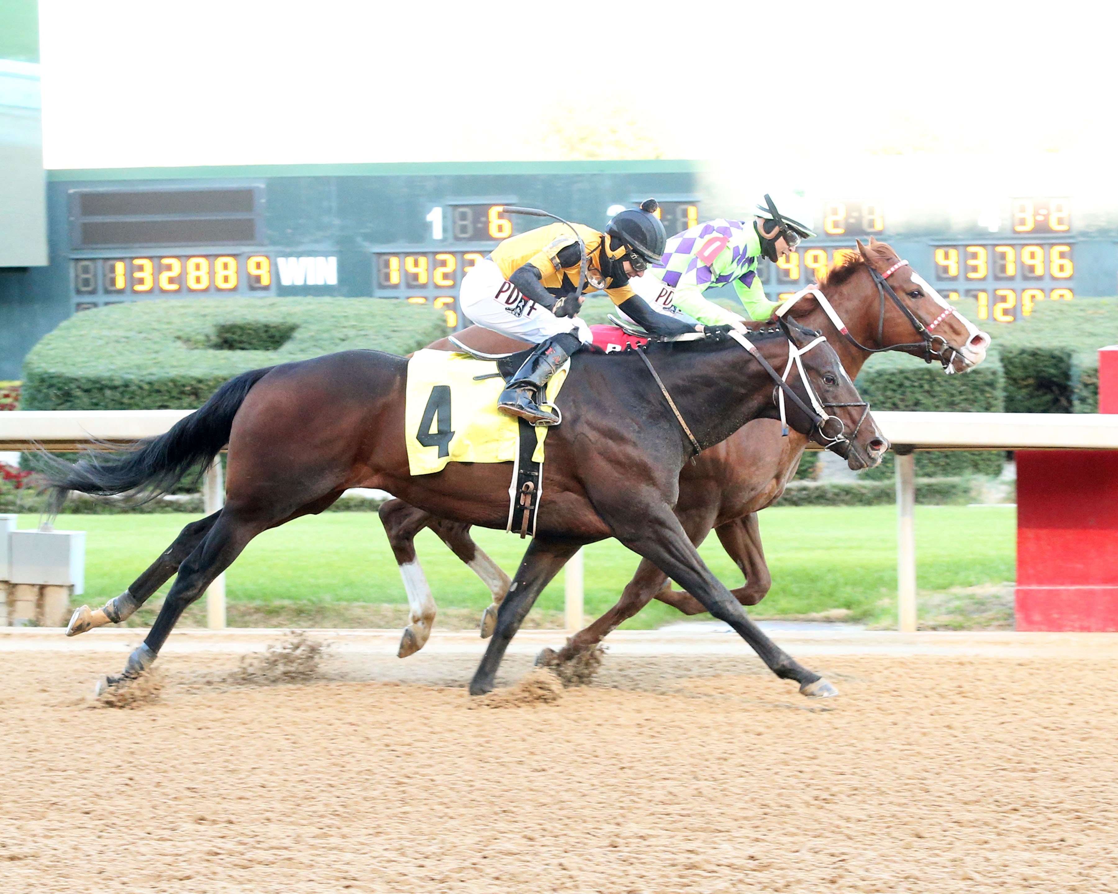 Sir Wellington wins the Gazebo 3-20-2021