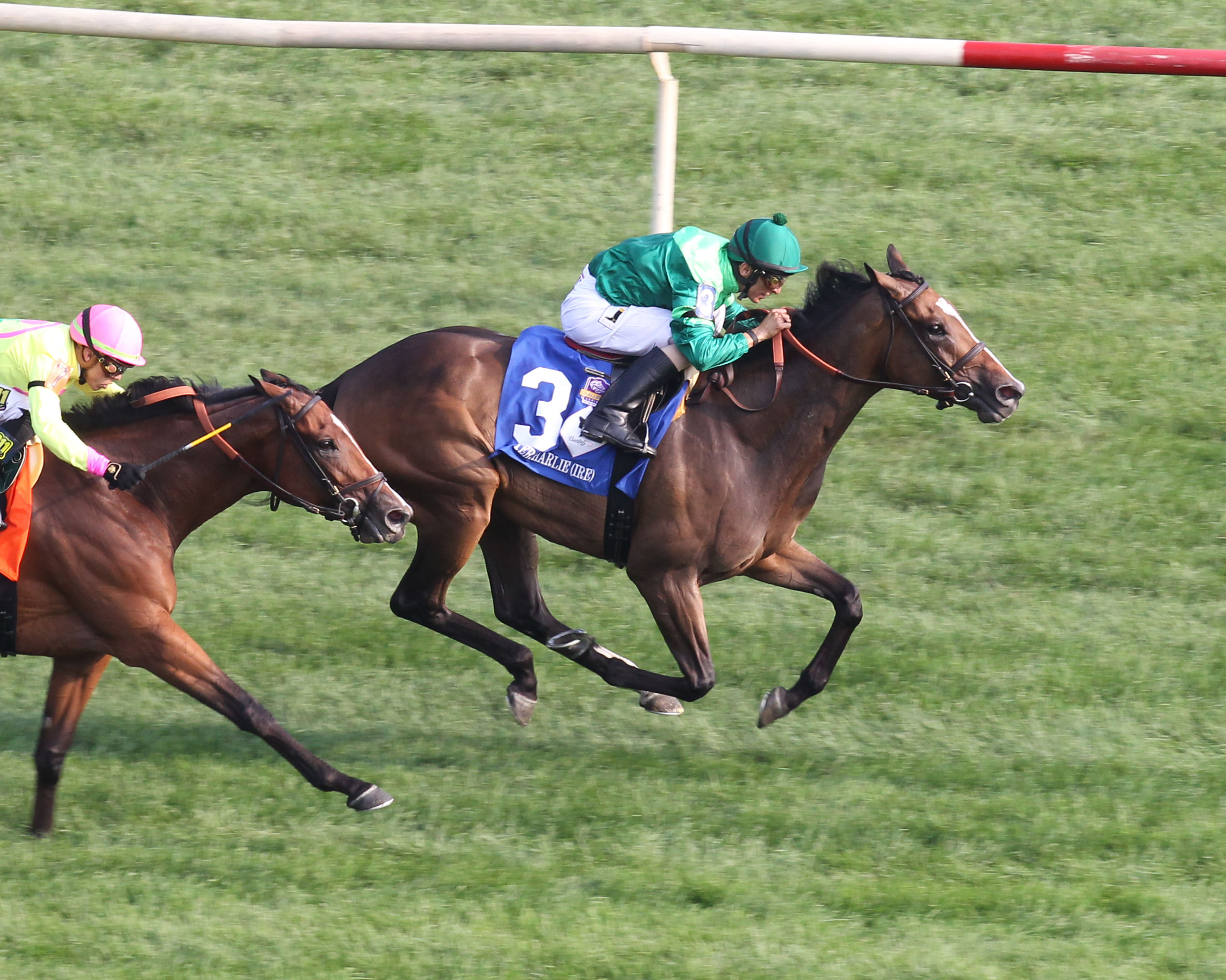 Sistercharlie wins 2018 Beverly D.