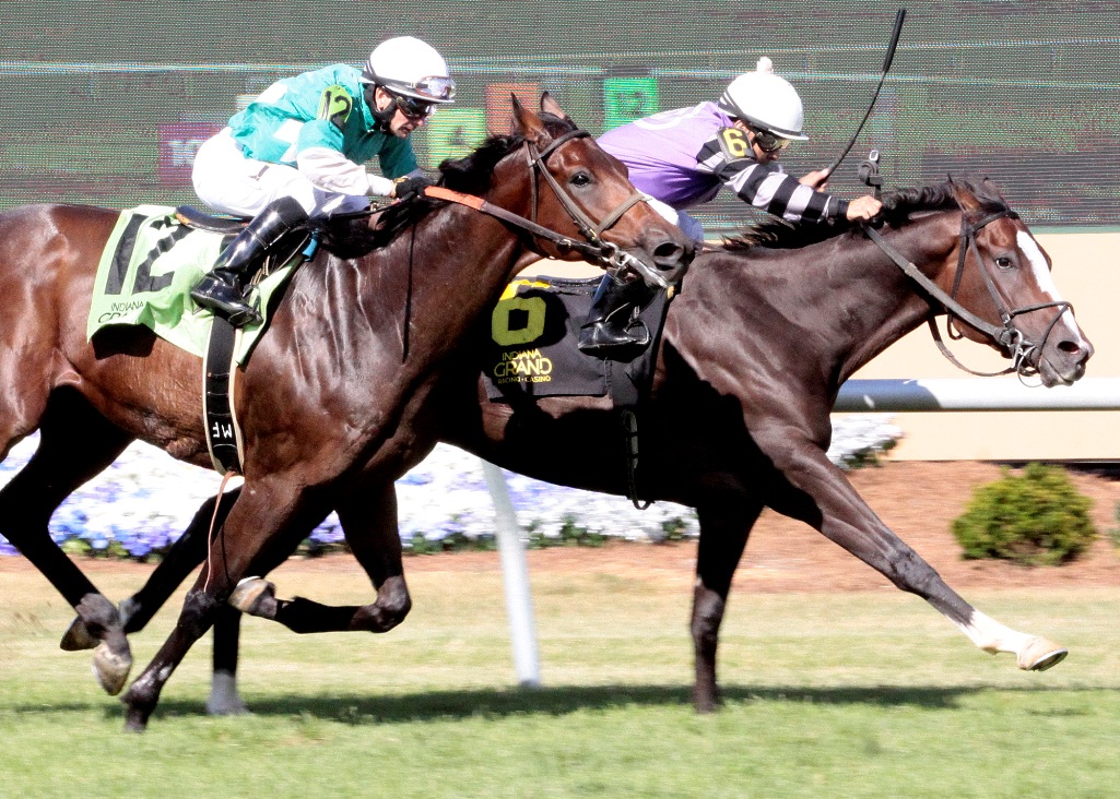 Sky Writer wins the 2018 Snack Stakes