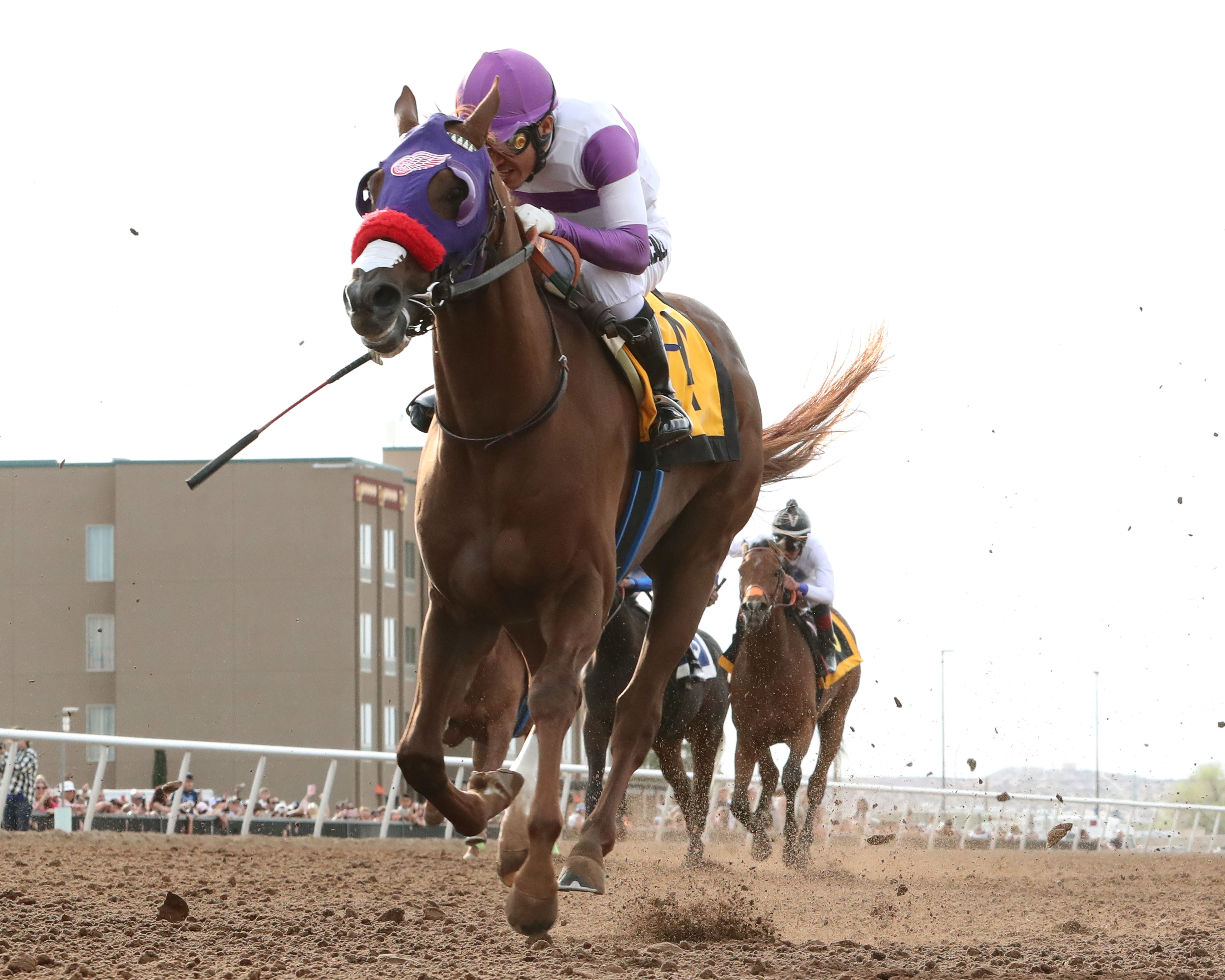 Slow Down Andy - Sunland Park Derby 2022