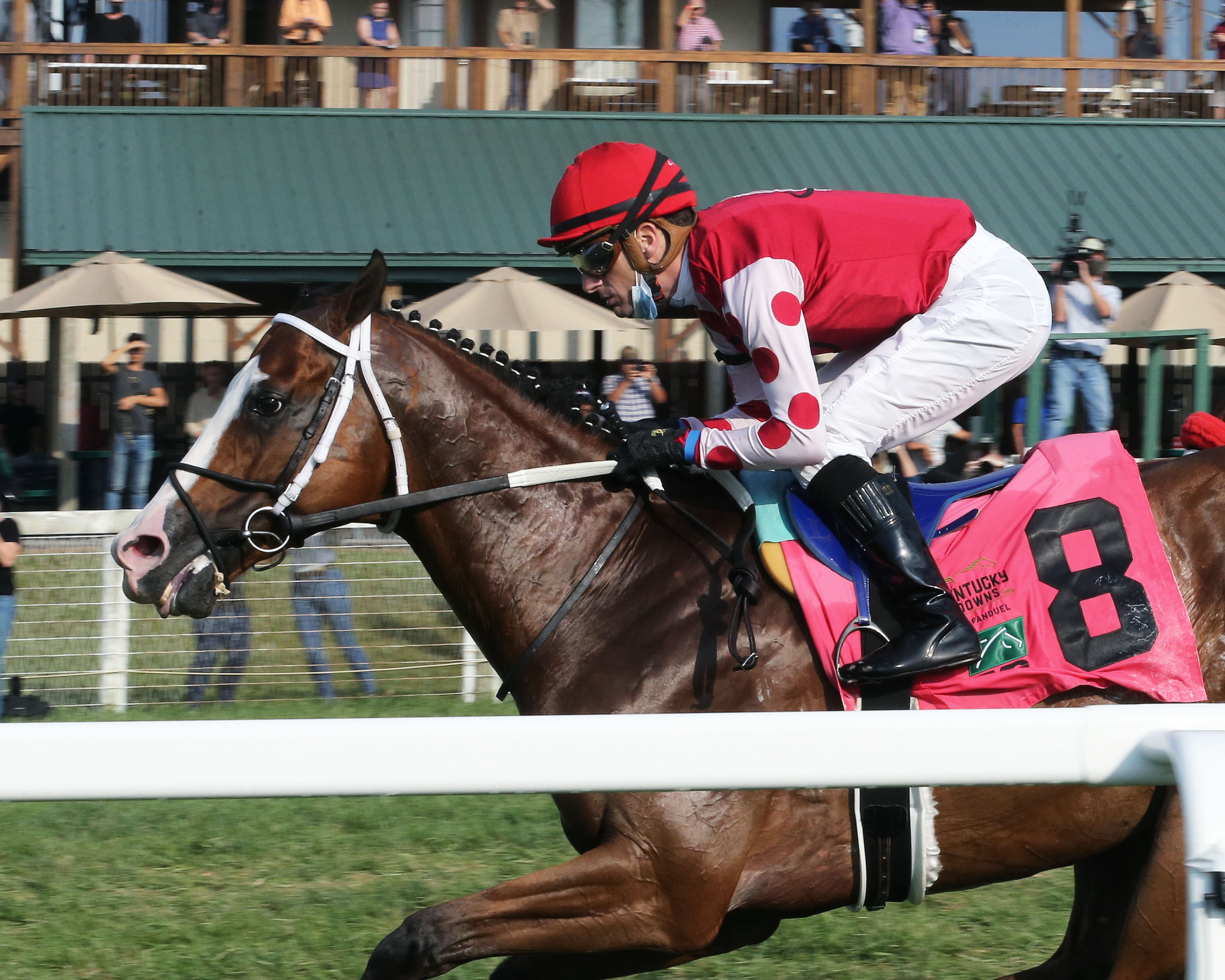 Snapper Sinclair/TVG Stakes