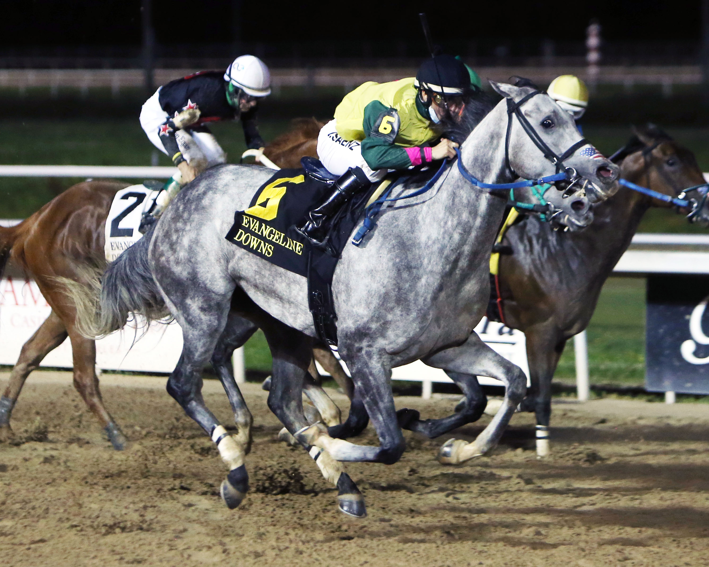 Snowball/Evangeline Distaff