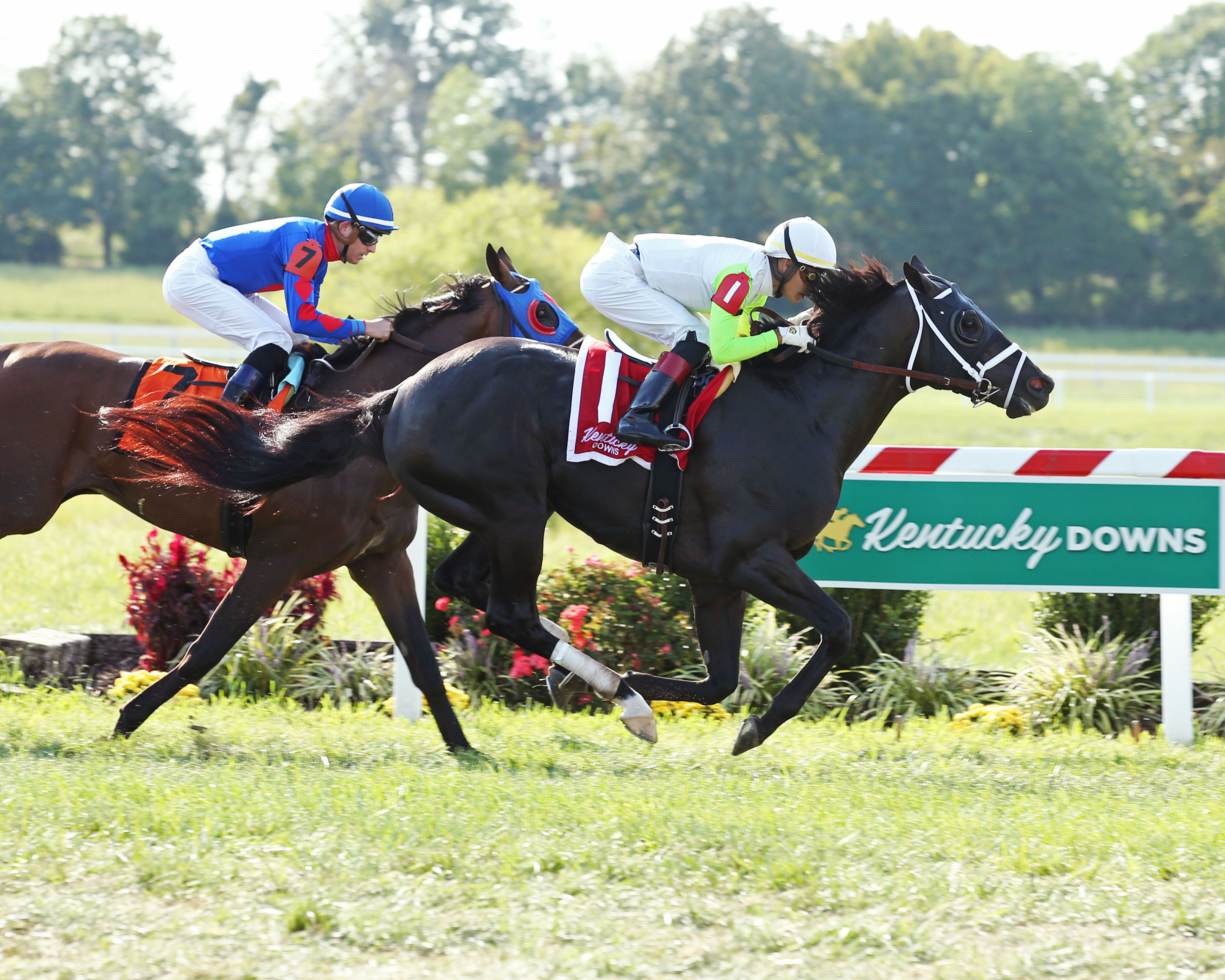 Social Paranoia wins the 2019 Dueling Grounds Derby