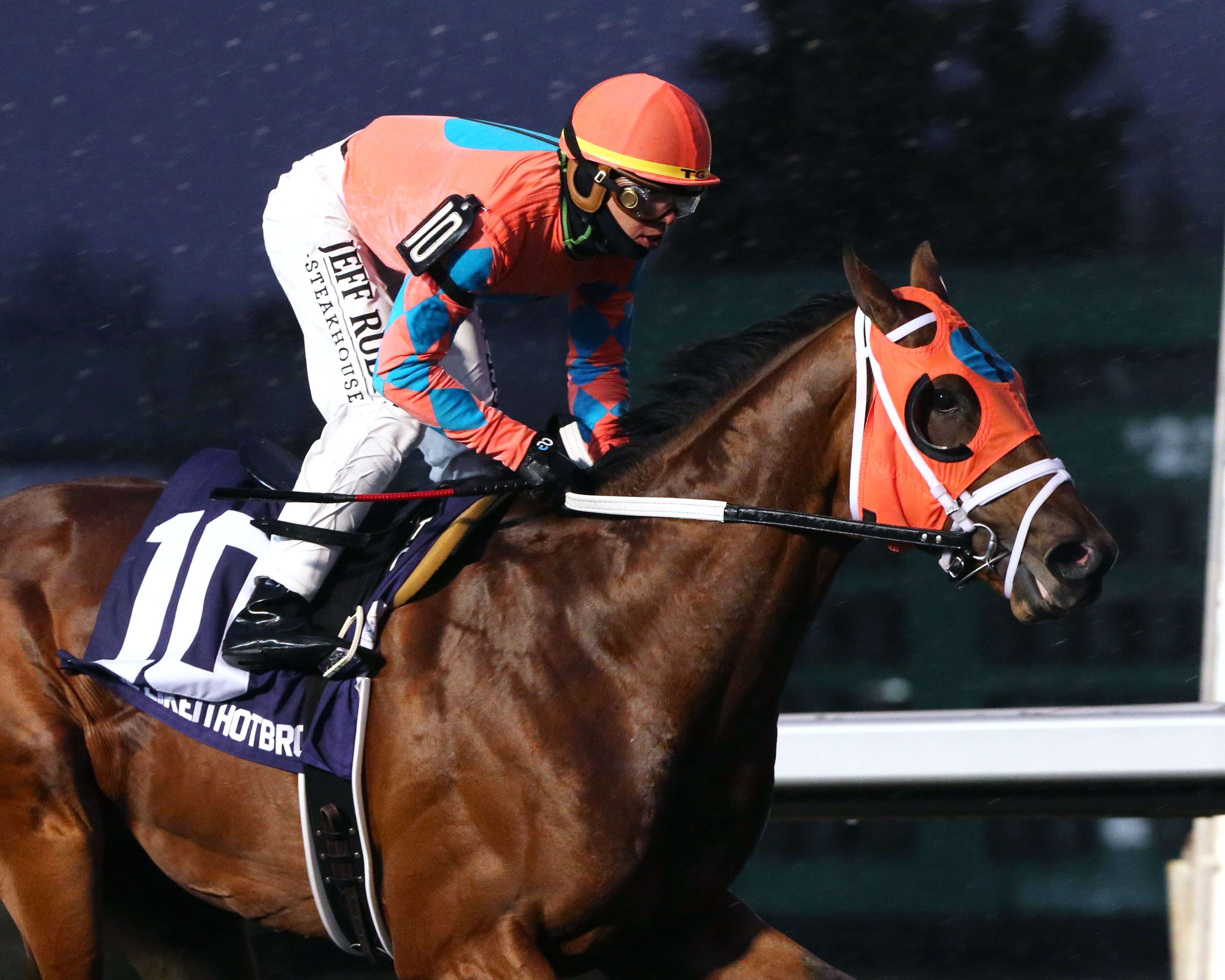 Somelikeithotbrown wins the 2019 Jeff Ruby Steaks