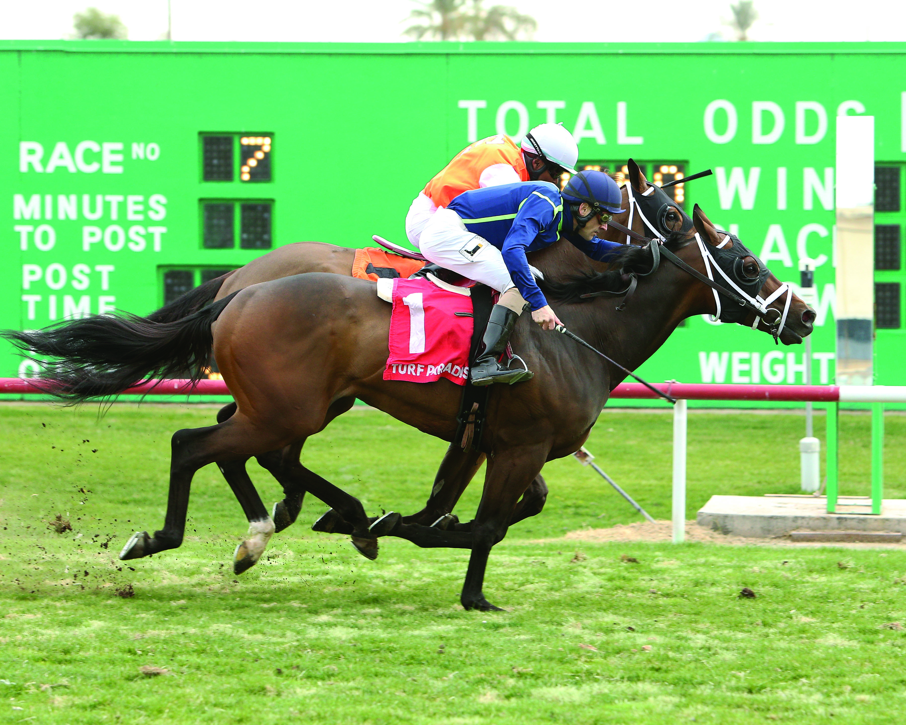 Somethings Unusual wins 2016 Cotton Fitzsimmons