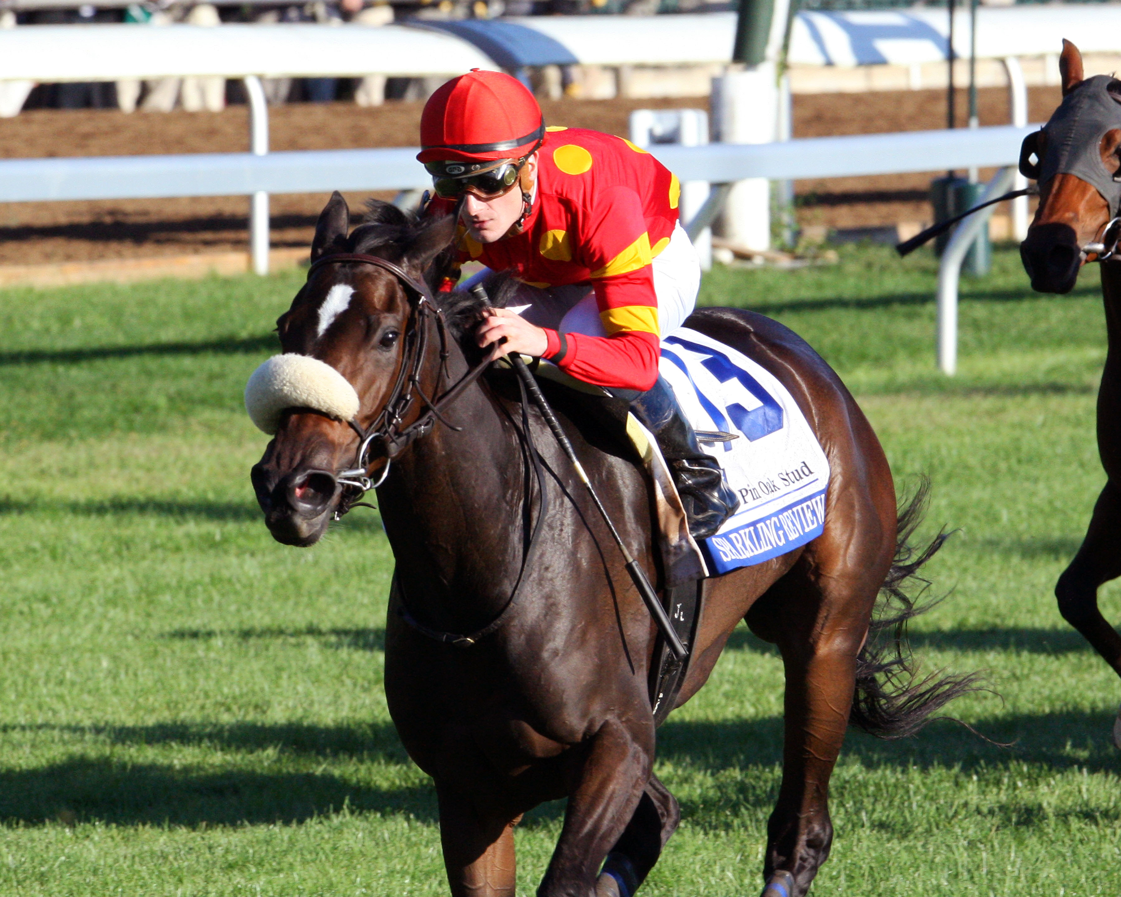 Sparkling Review 10-17-2014