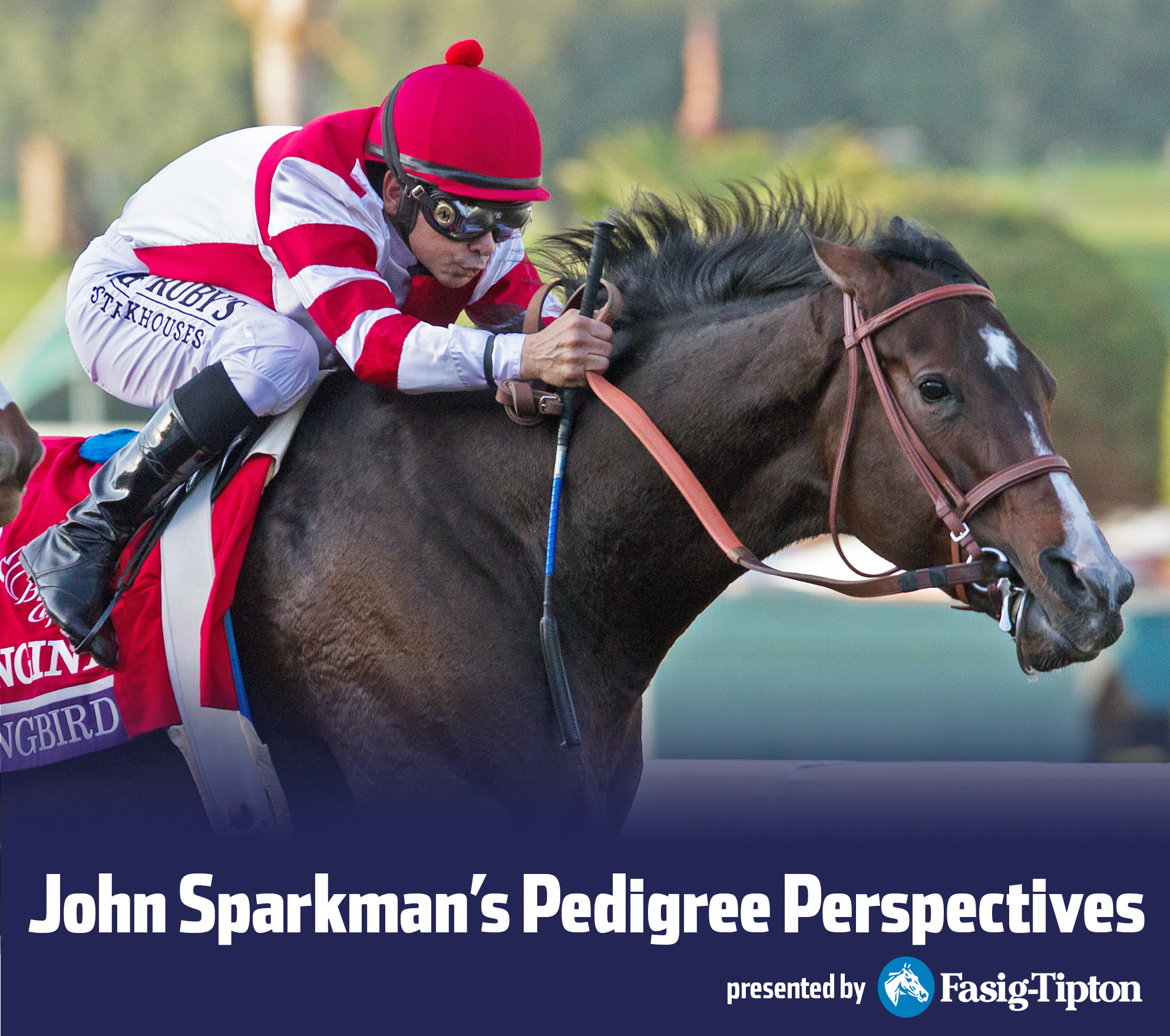 Sparkman Songbird