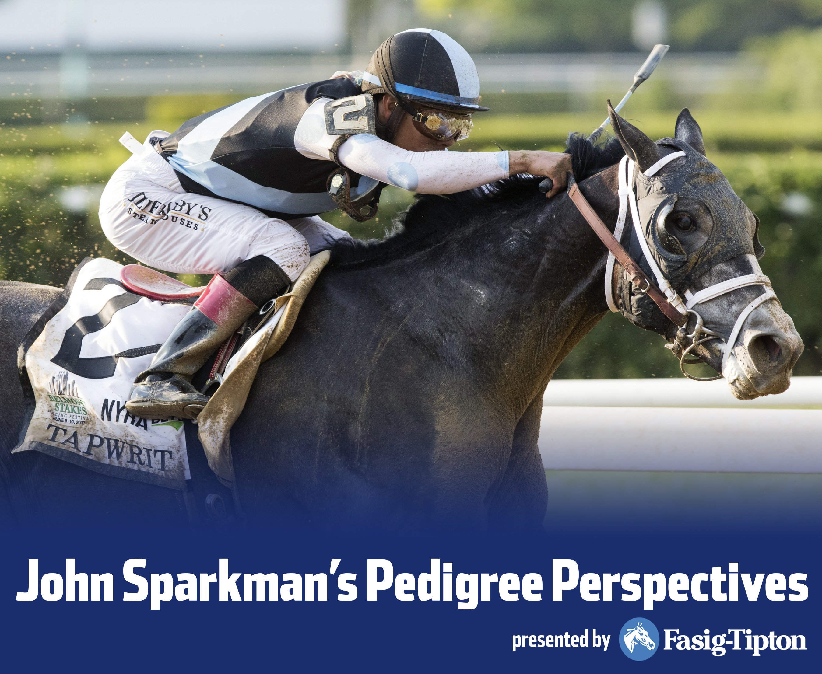 Sparkman - Tapwrit Belmont Stakes