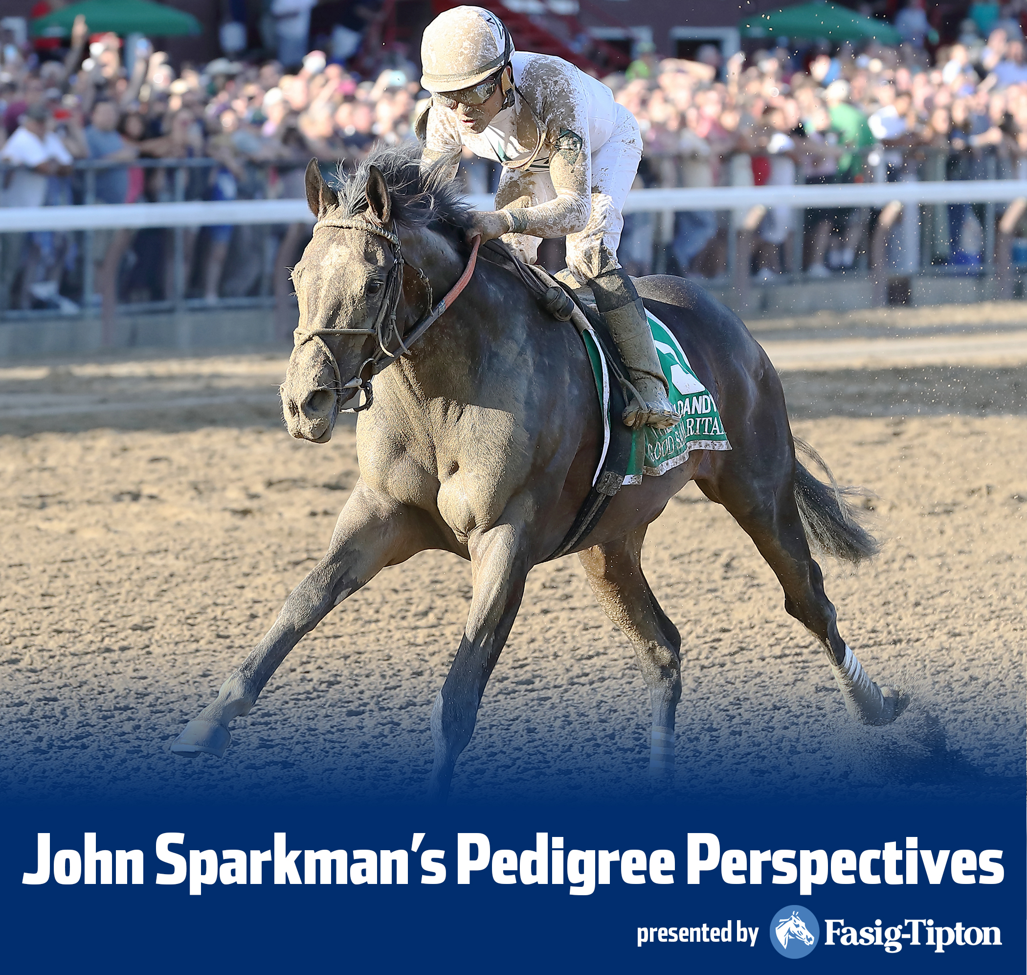 Sparkman - Good Samaritan wins the Jim Dandy Stakes at Saratoga, 7/29