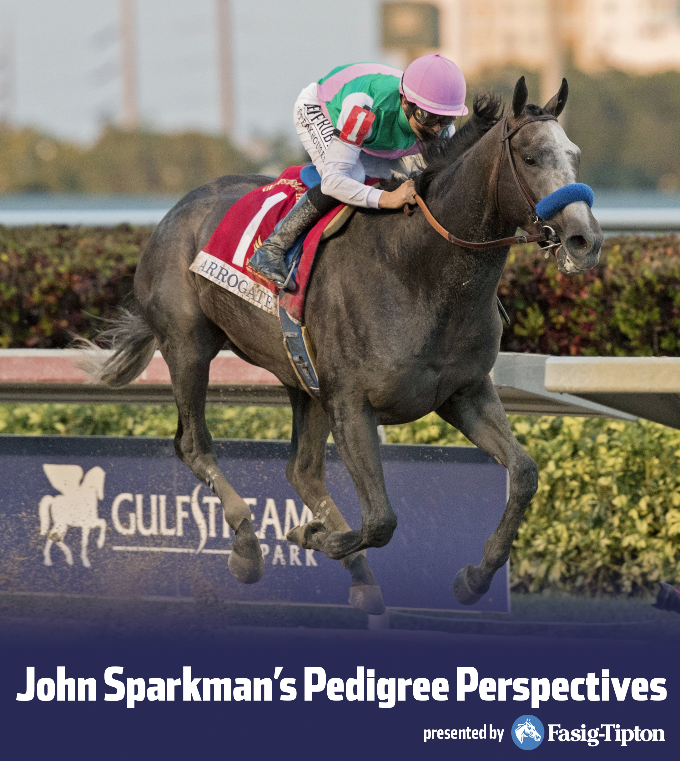 Arrogate - Sparkman