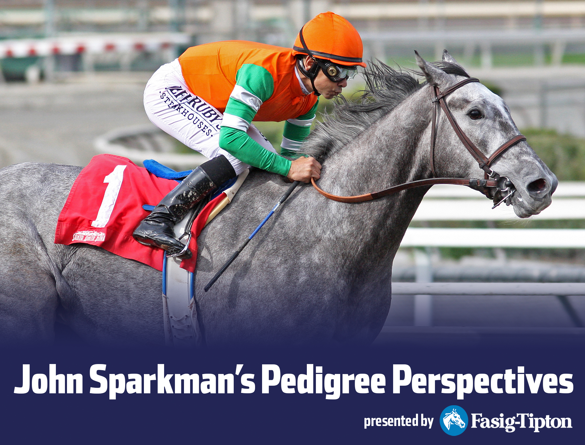 Sparkman - Unique Bella photo