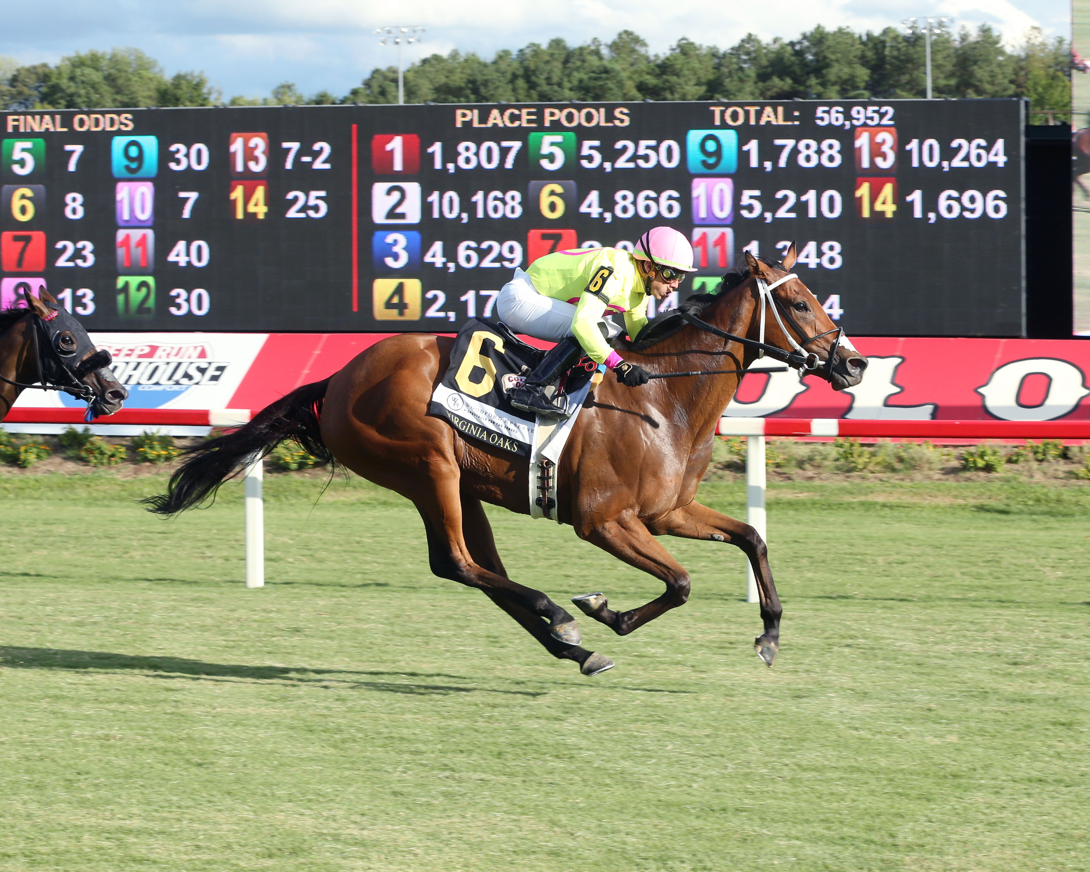 Spirit and Glory/Virginia Oaks