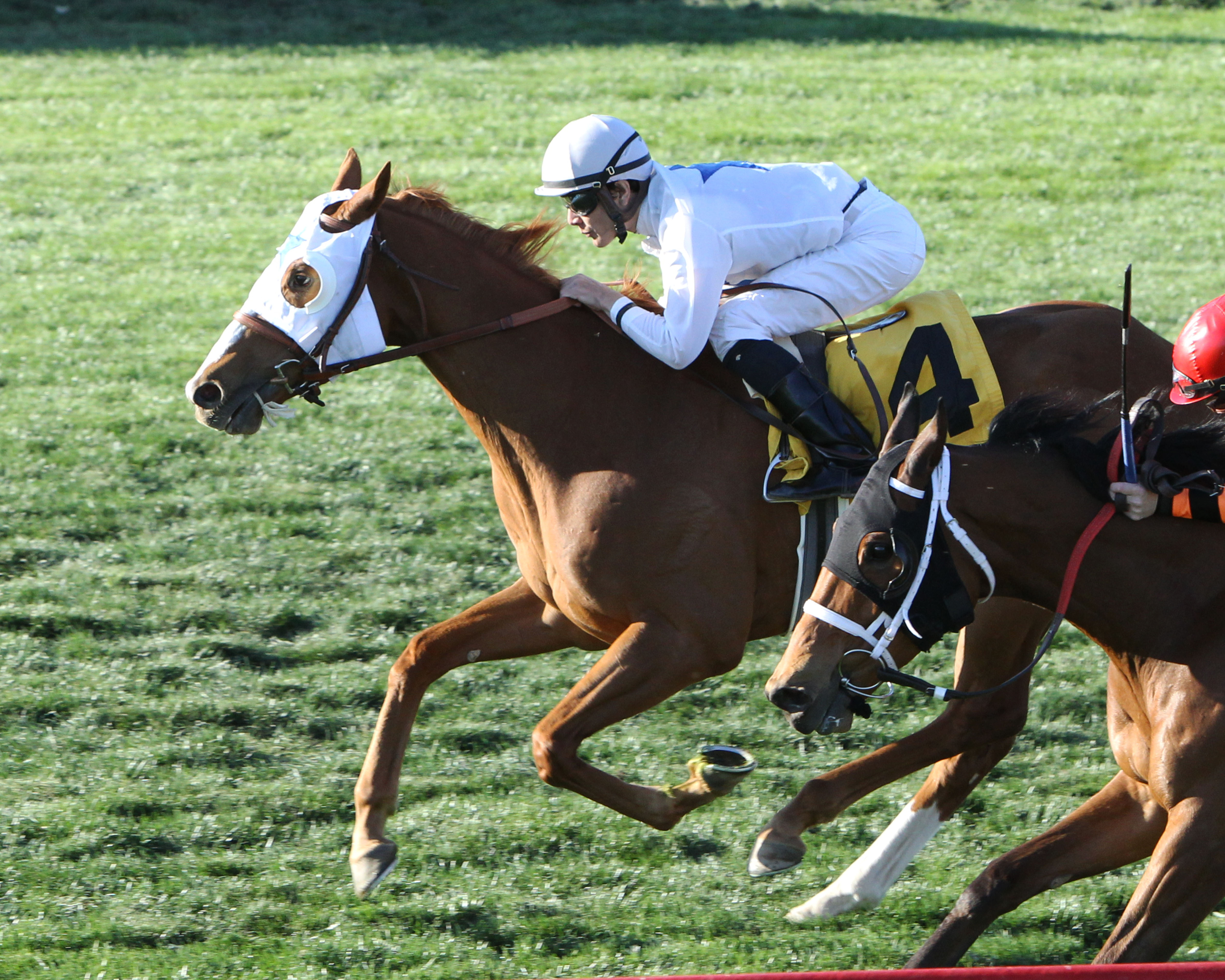Spooky Channel wins the 2019 Wildcat Handicap