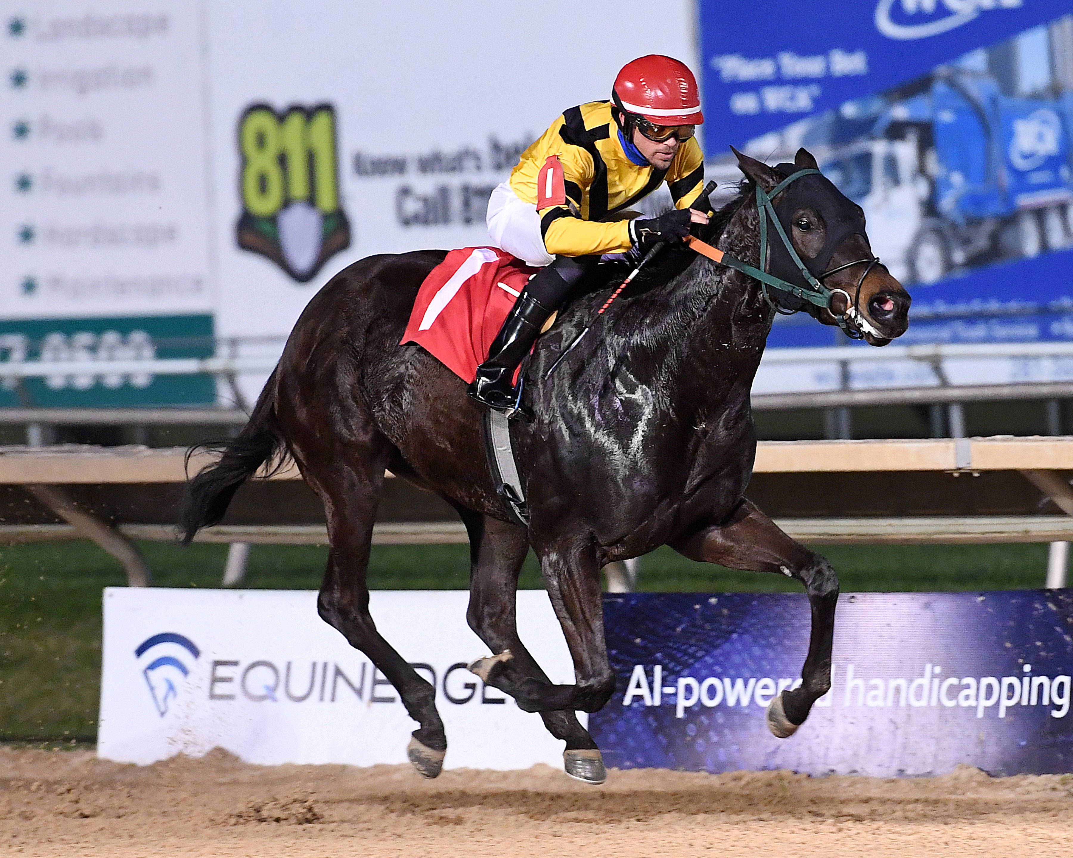 Star of the North wins Darby's Daughter 1-30-2021