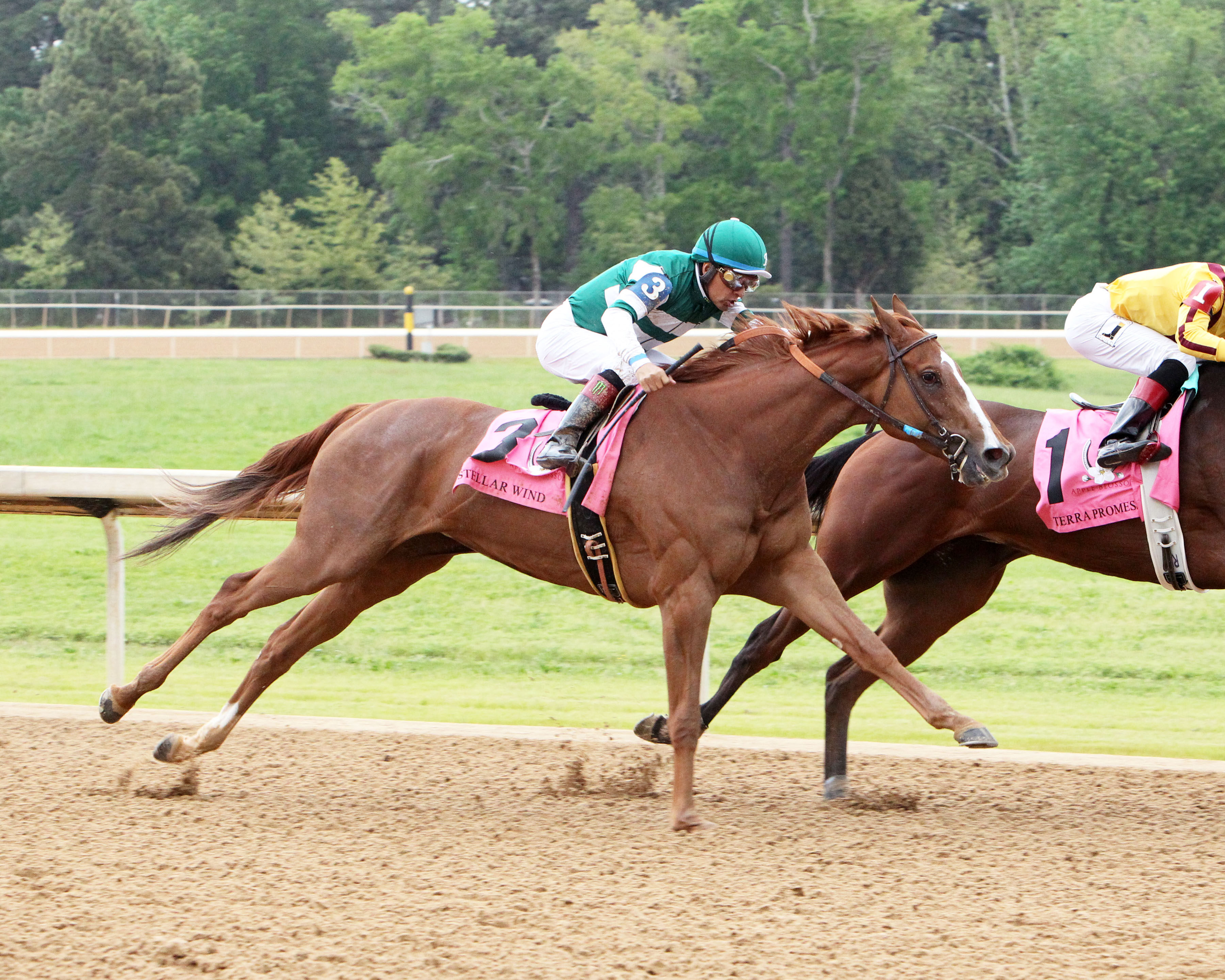 Stellar Wind
