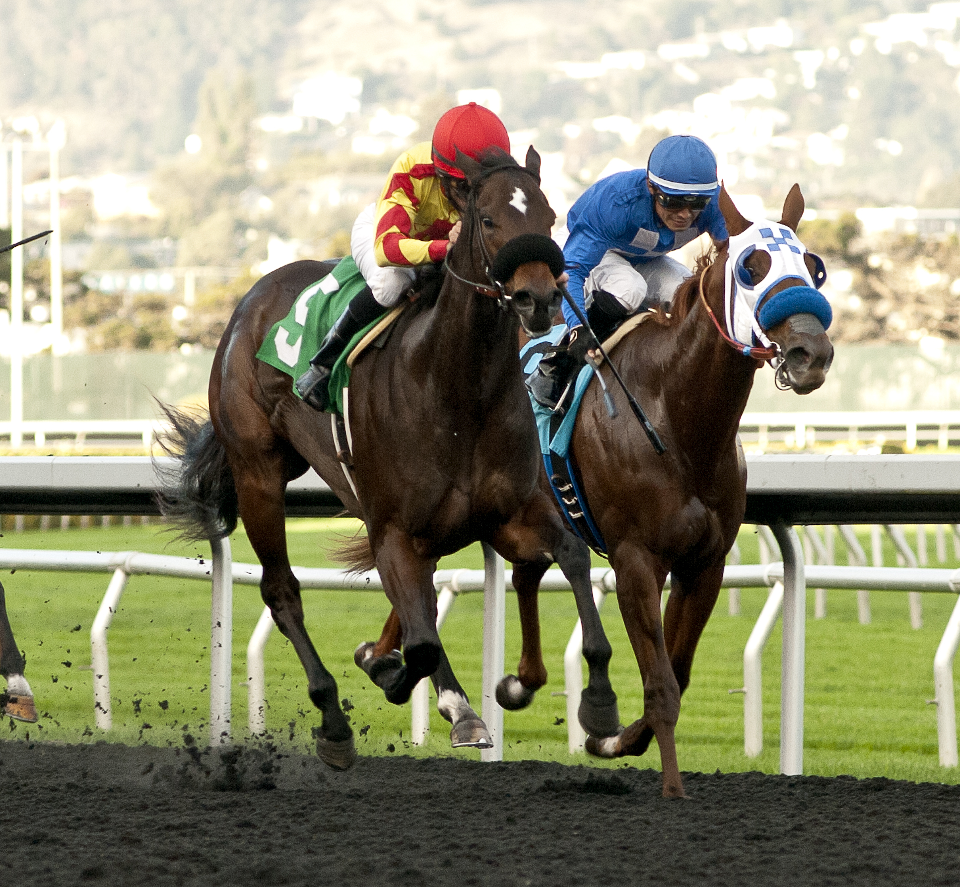 Steph Being Steph (#5) wins the 2017 Golden Gate Debutante
