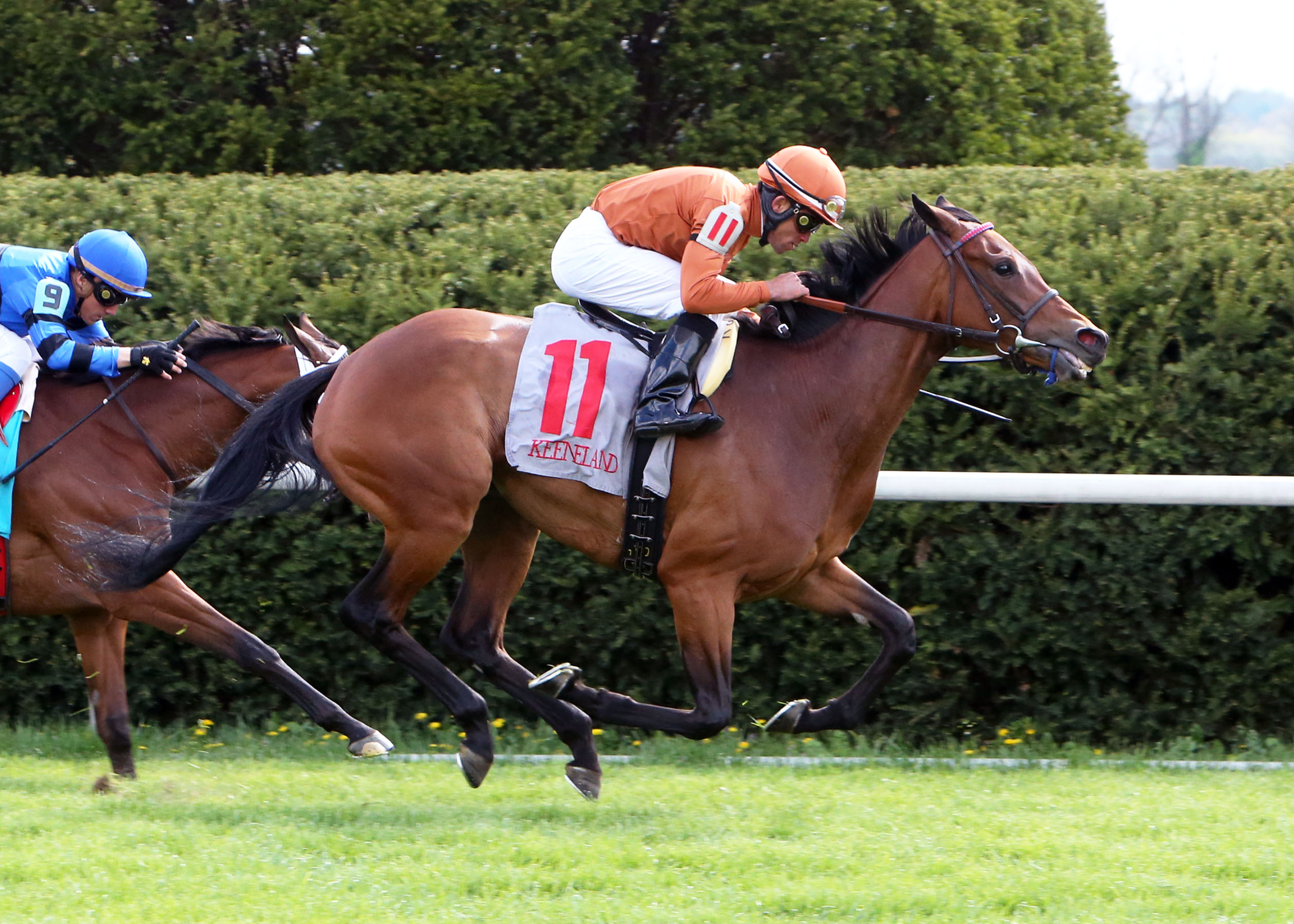 Strathnaver 4-25-2013