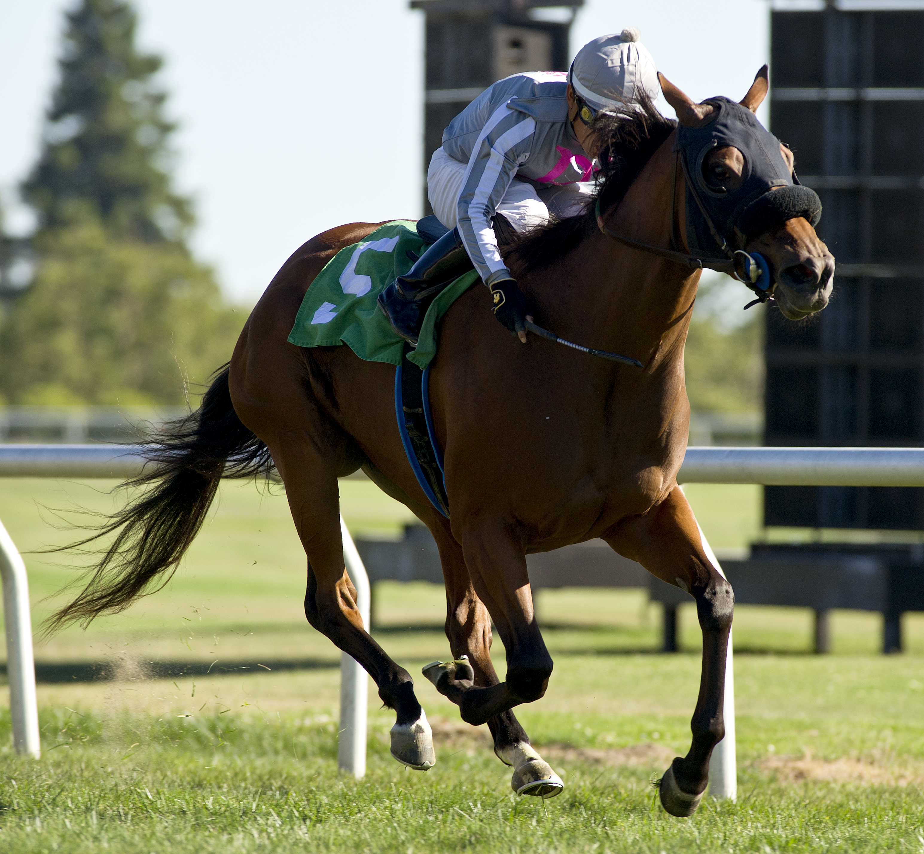 Streetwithnoname wins 2018 Robert Dupret Derby