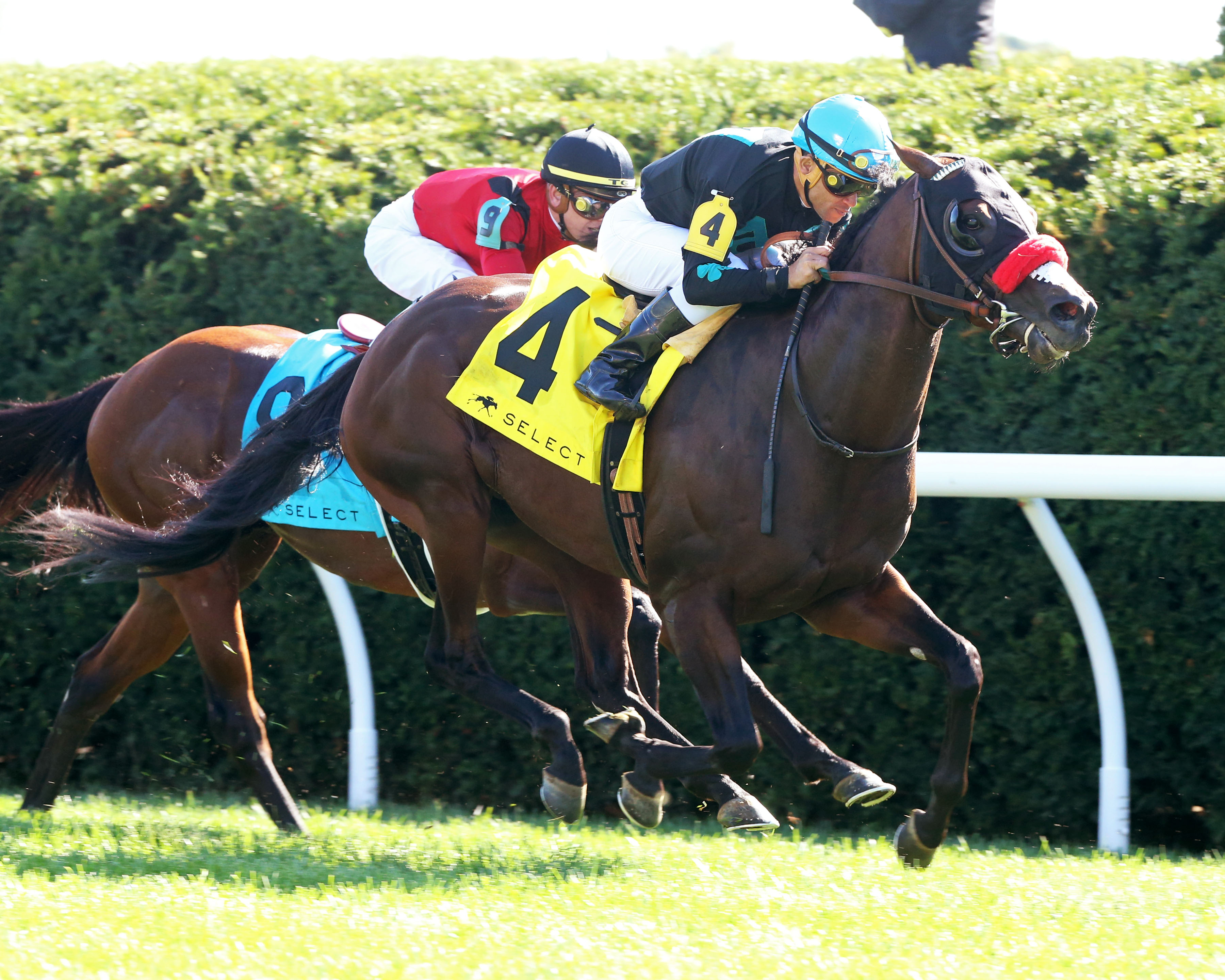 Stubbins wins the 2019 Woodford Stakes