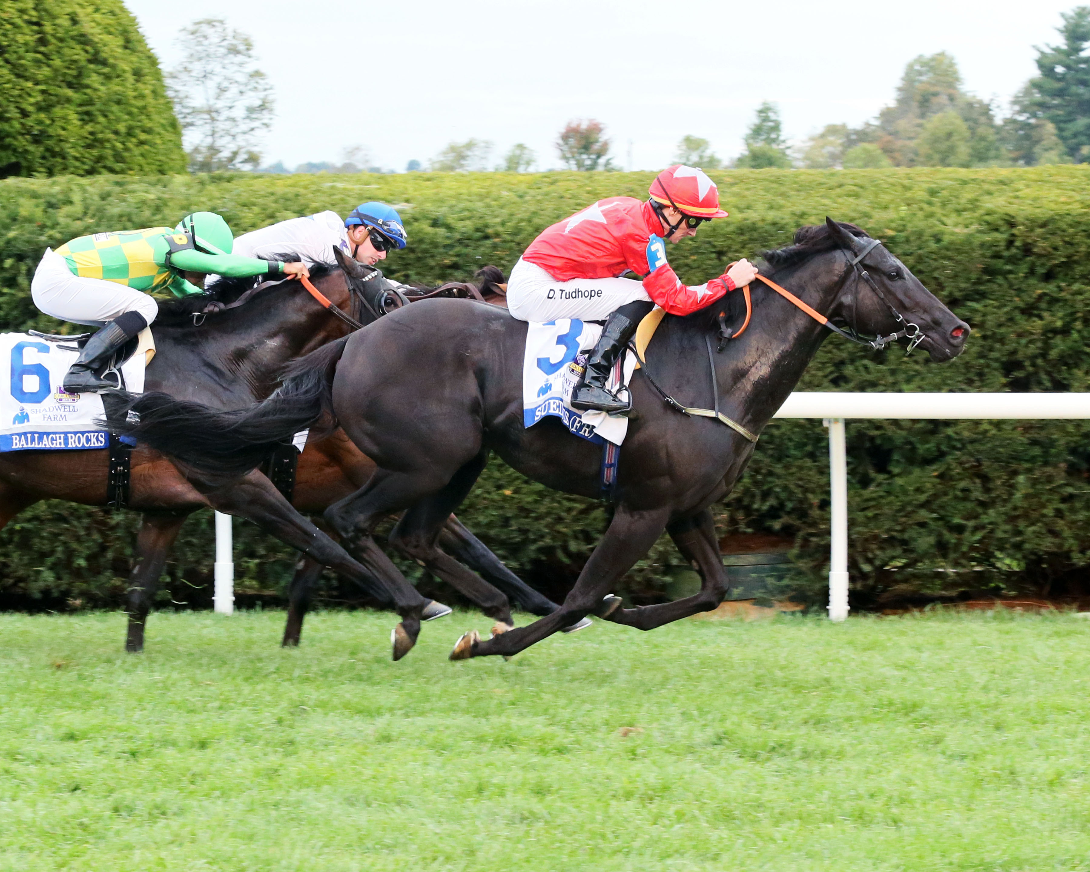 Suedois wins the 2017 Shadwell Turf Mile