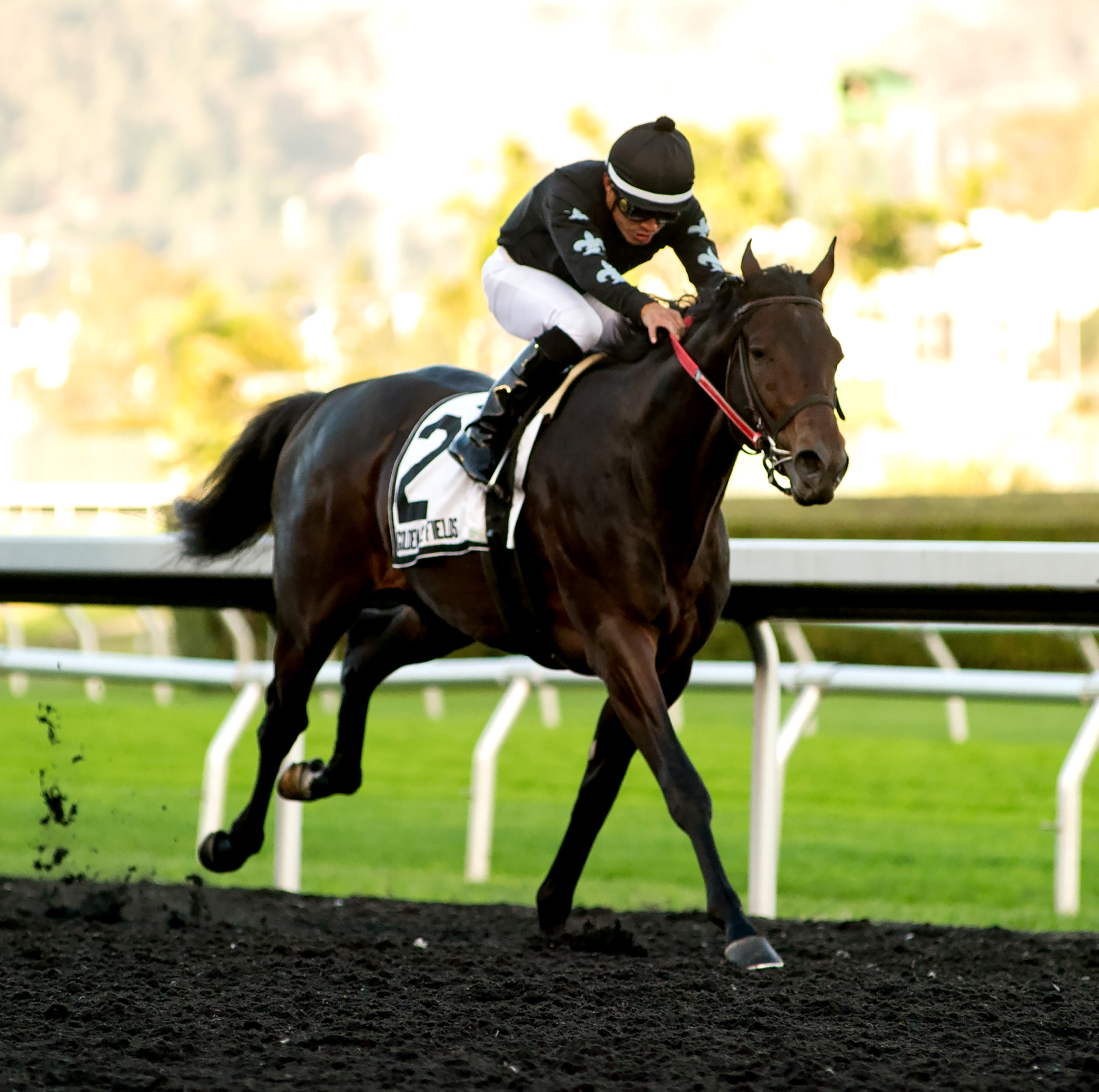Sueno wins the 2018 Gold Rush Stakes