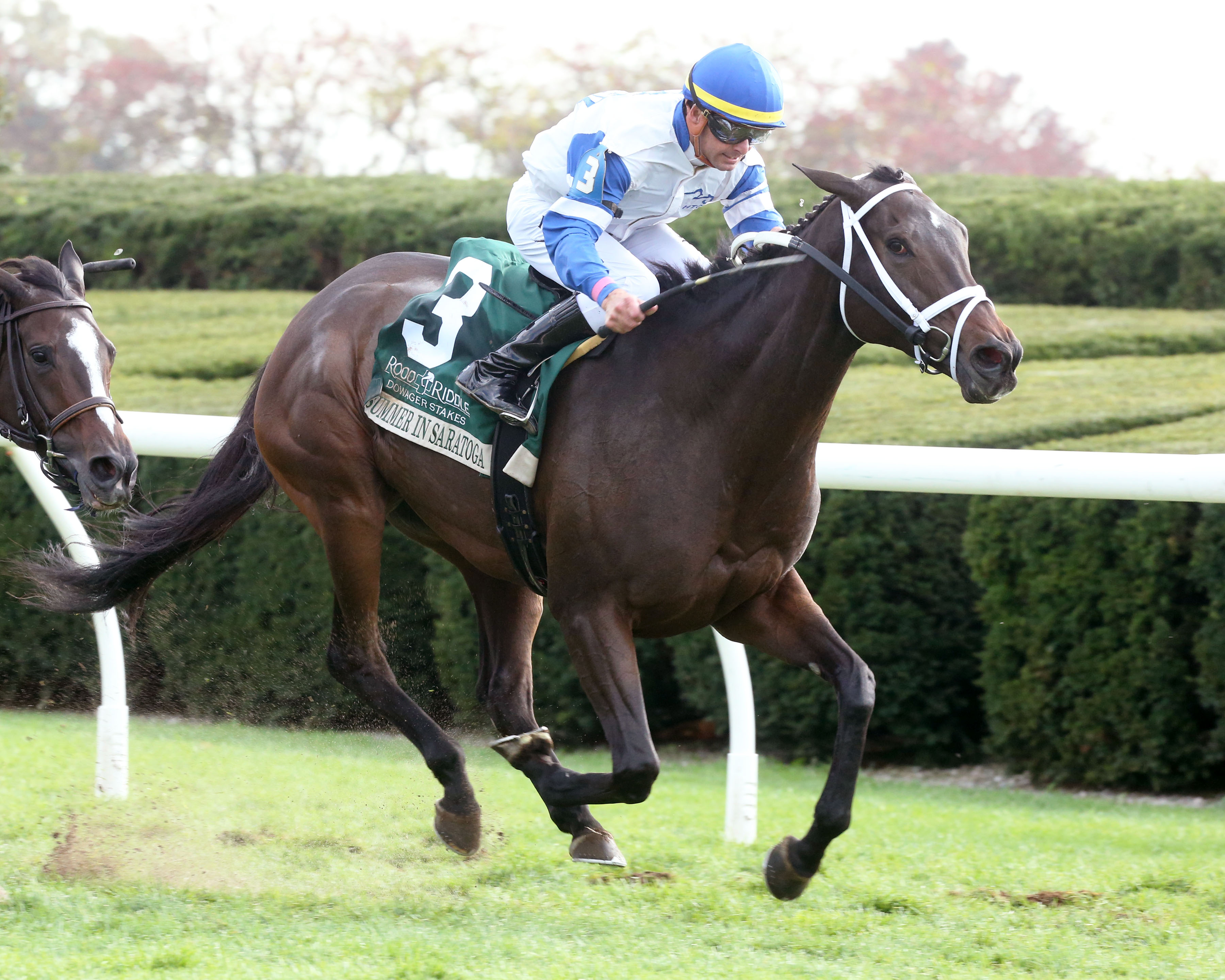 Summer in Saratoga - Dowager S. 2021