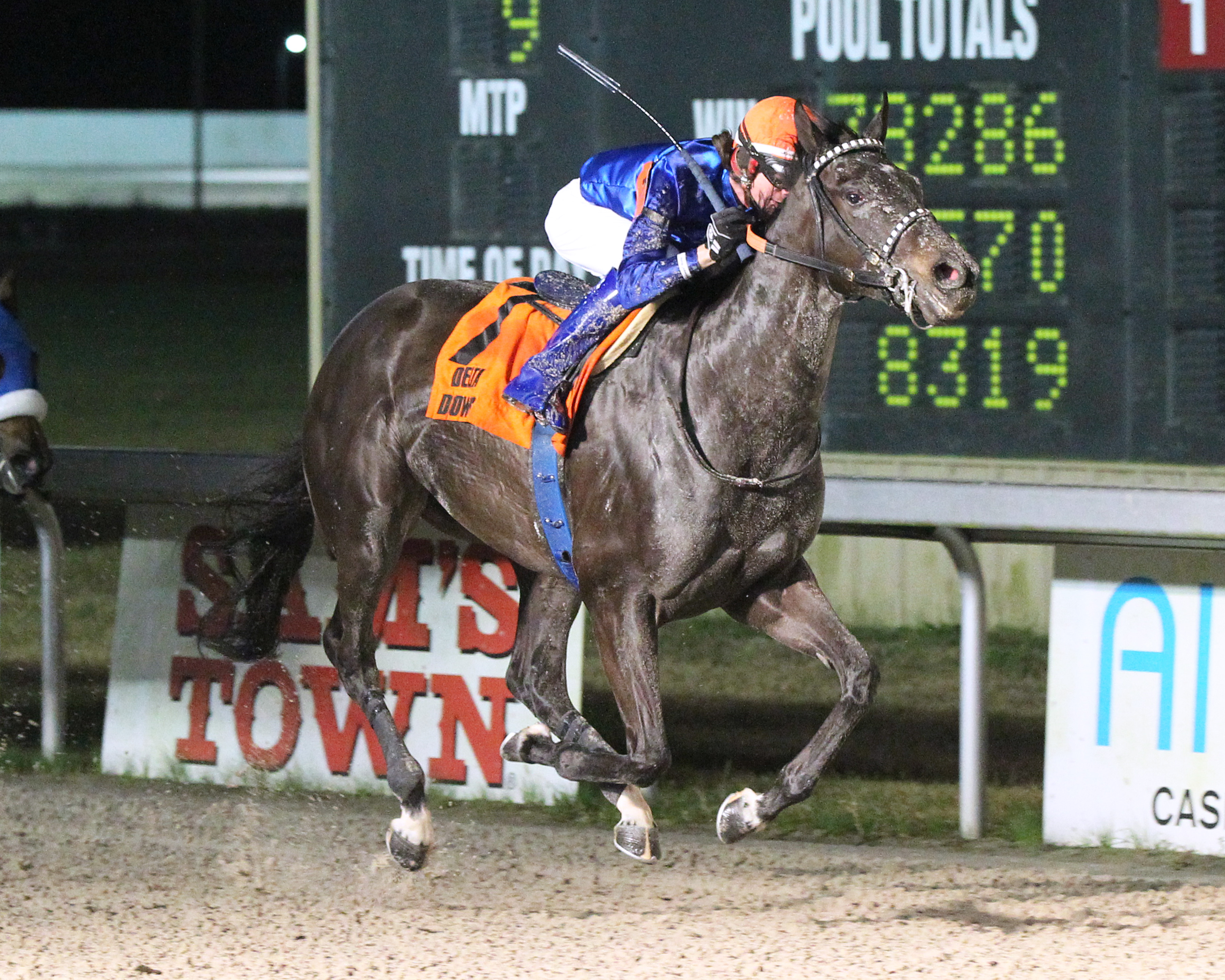 Sunset Wish/Take Charge Brandi