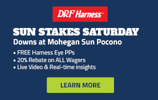 Sun Stakes Offers