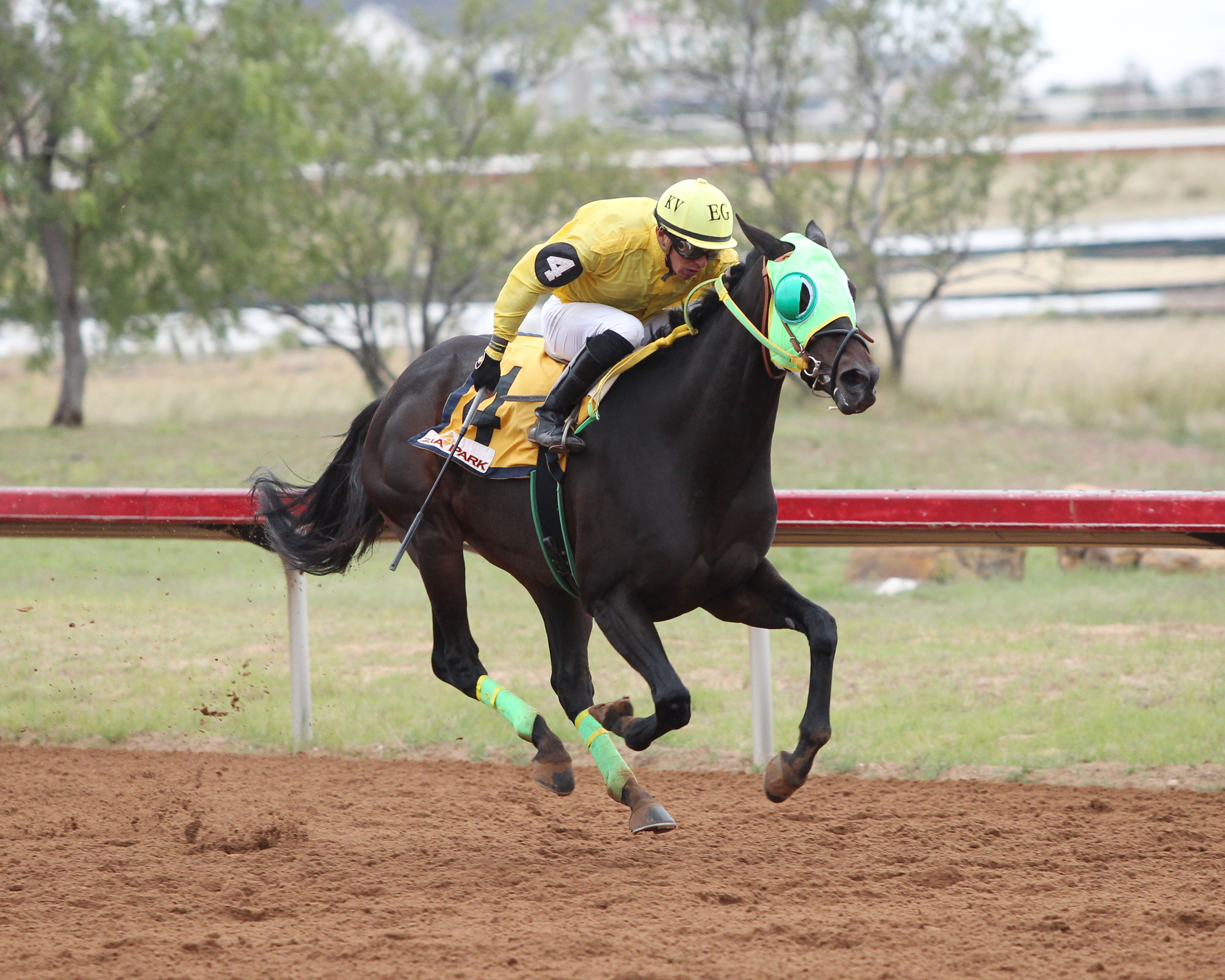 Super Humor wins the 2018 Chaves County Stakes