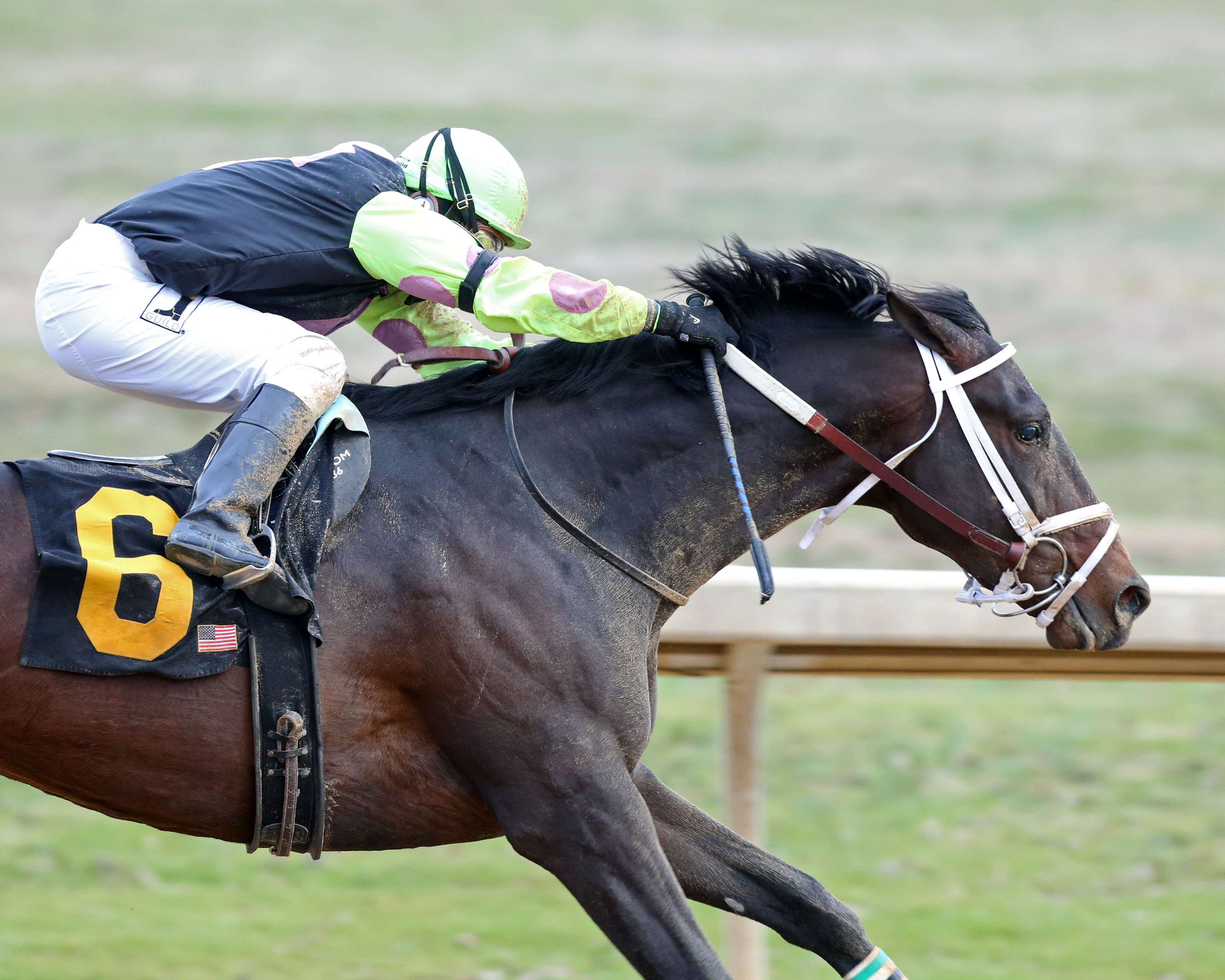 Super Steed wins 2019 Southwest